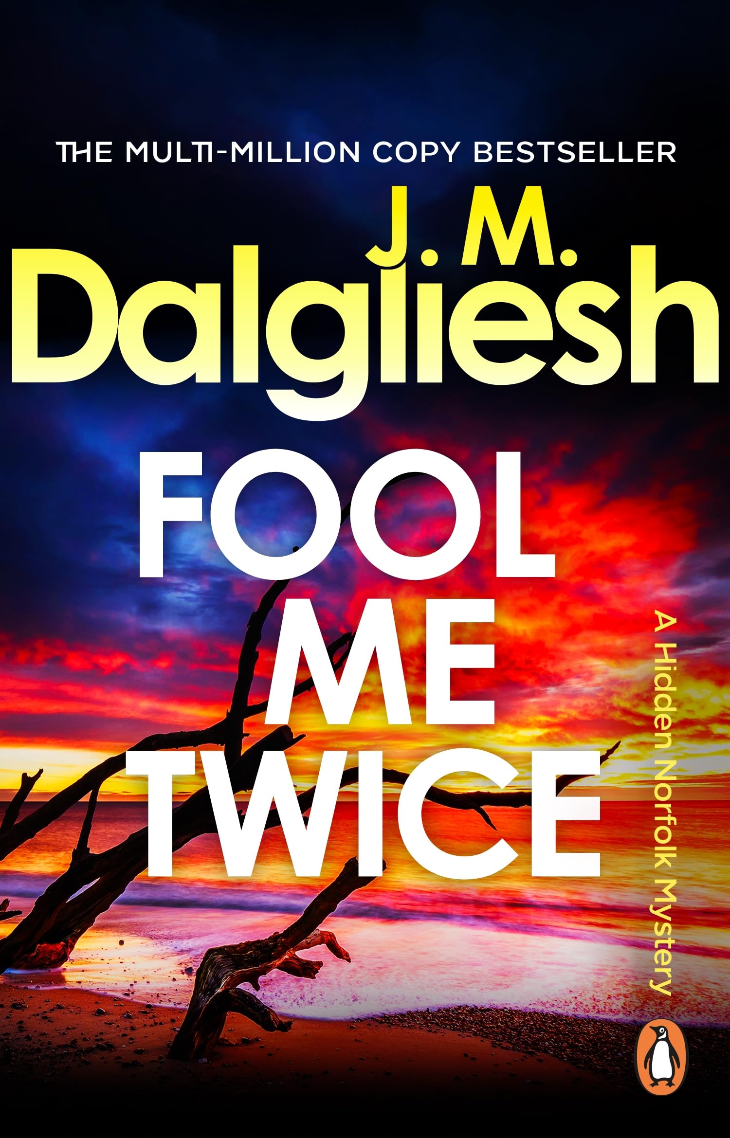 Fool Me Twice: A pulse-pounding police procedural from the multi-million-copy bestselling author of the Misty Isle series (Hidden Norfolk Murder Mystery, 10)