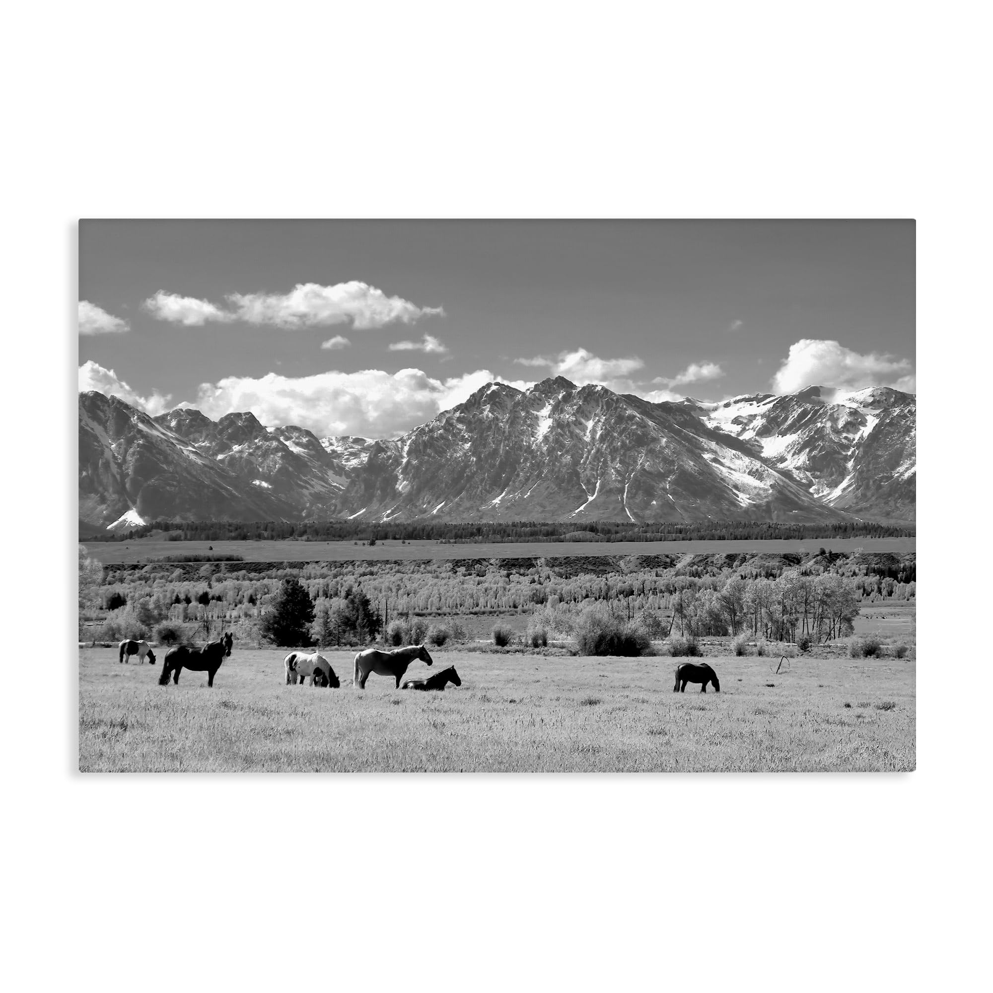 Stupell Industries 'Wyoming Ranch Horses Grazing', Canvas Art, 30 x 20 Inches, Easy to Hang and Sturdy, Made in USA, by Steve Toole
