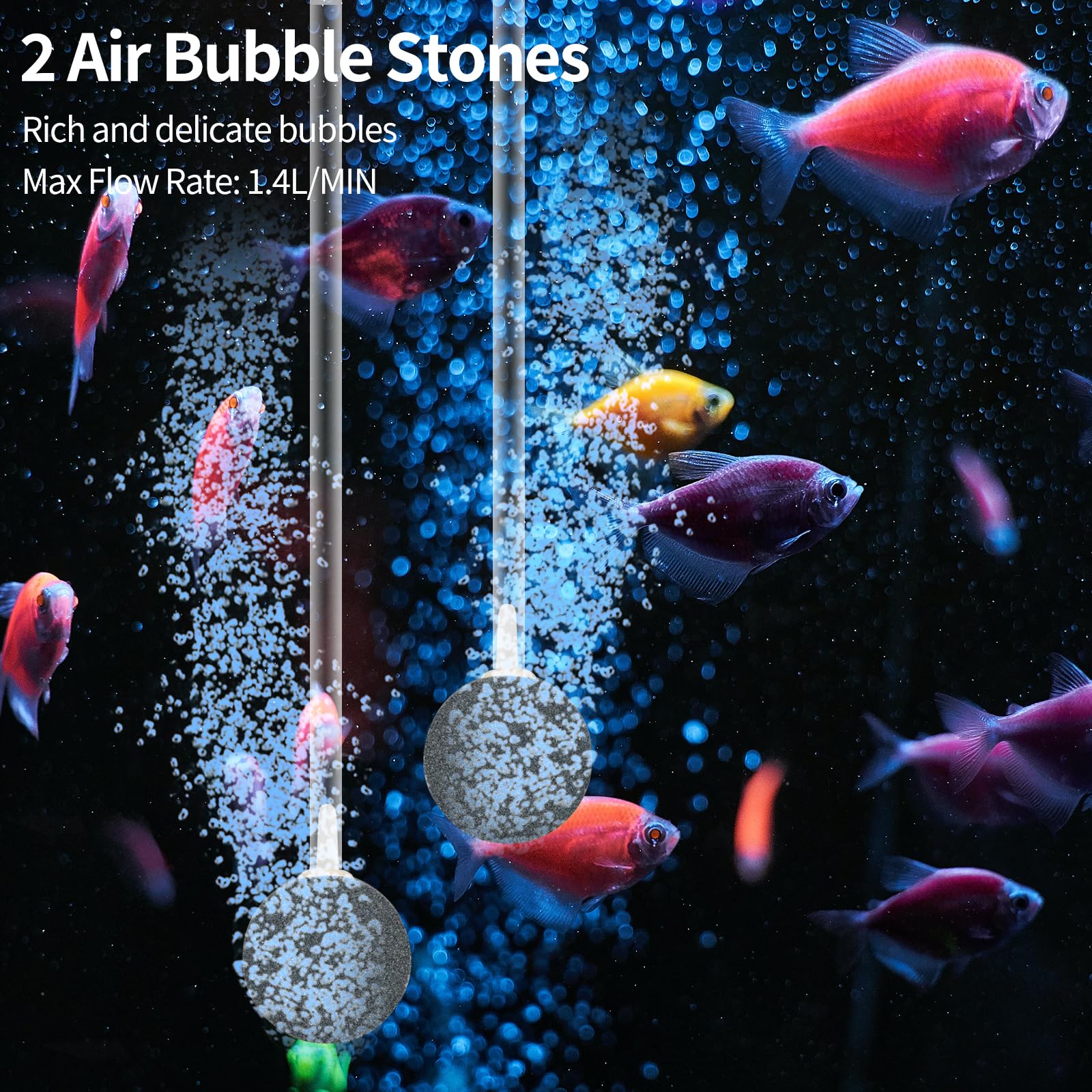 Aeratore Laghetto Solare 6W - Con Batteria 2400mAh E 2 Pietre Per Bolle