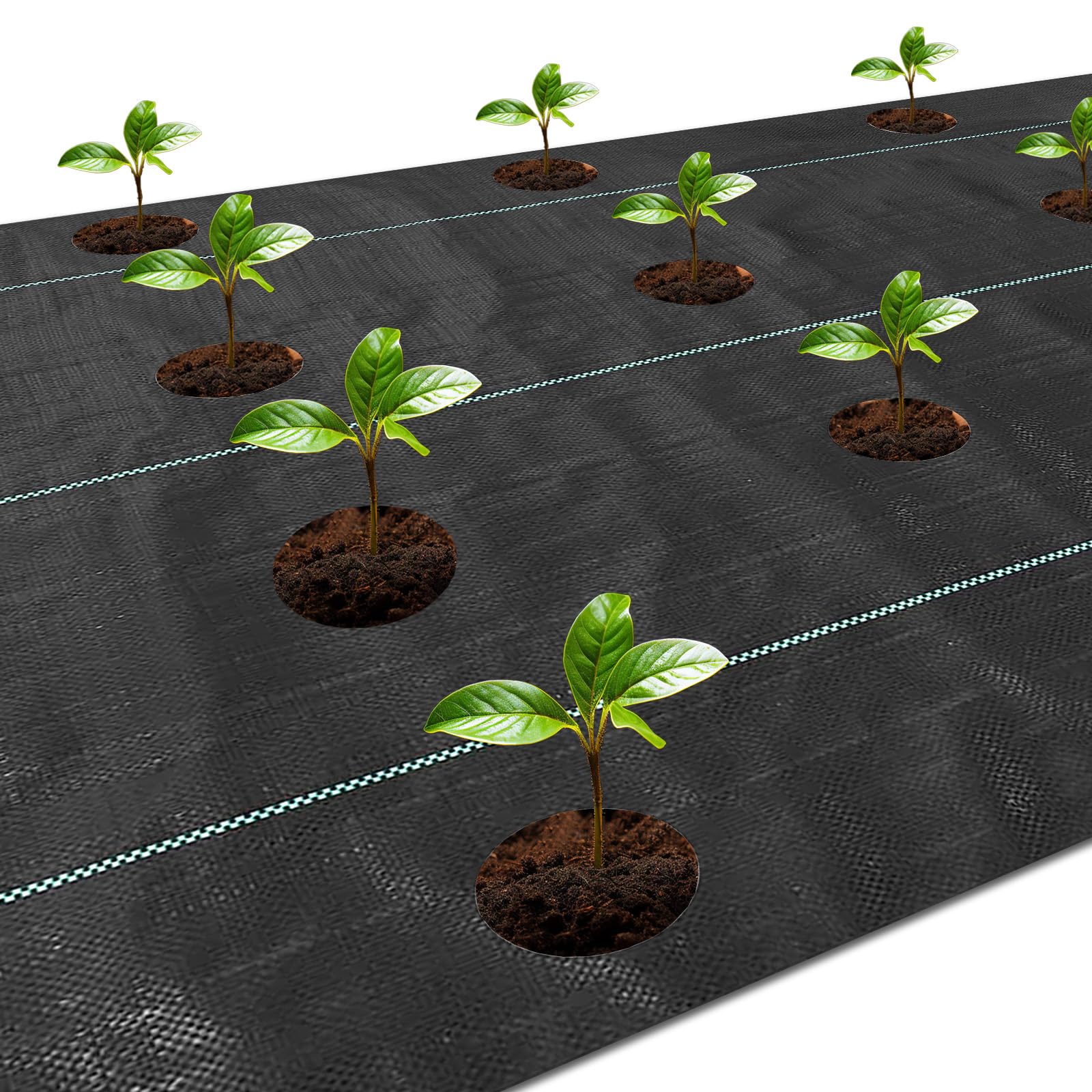 Best Ground Cover Weed Barrier In 2026 - uTopTens