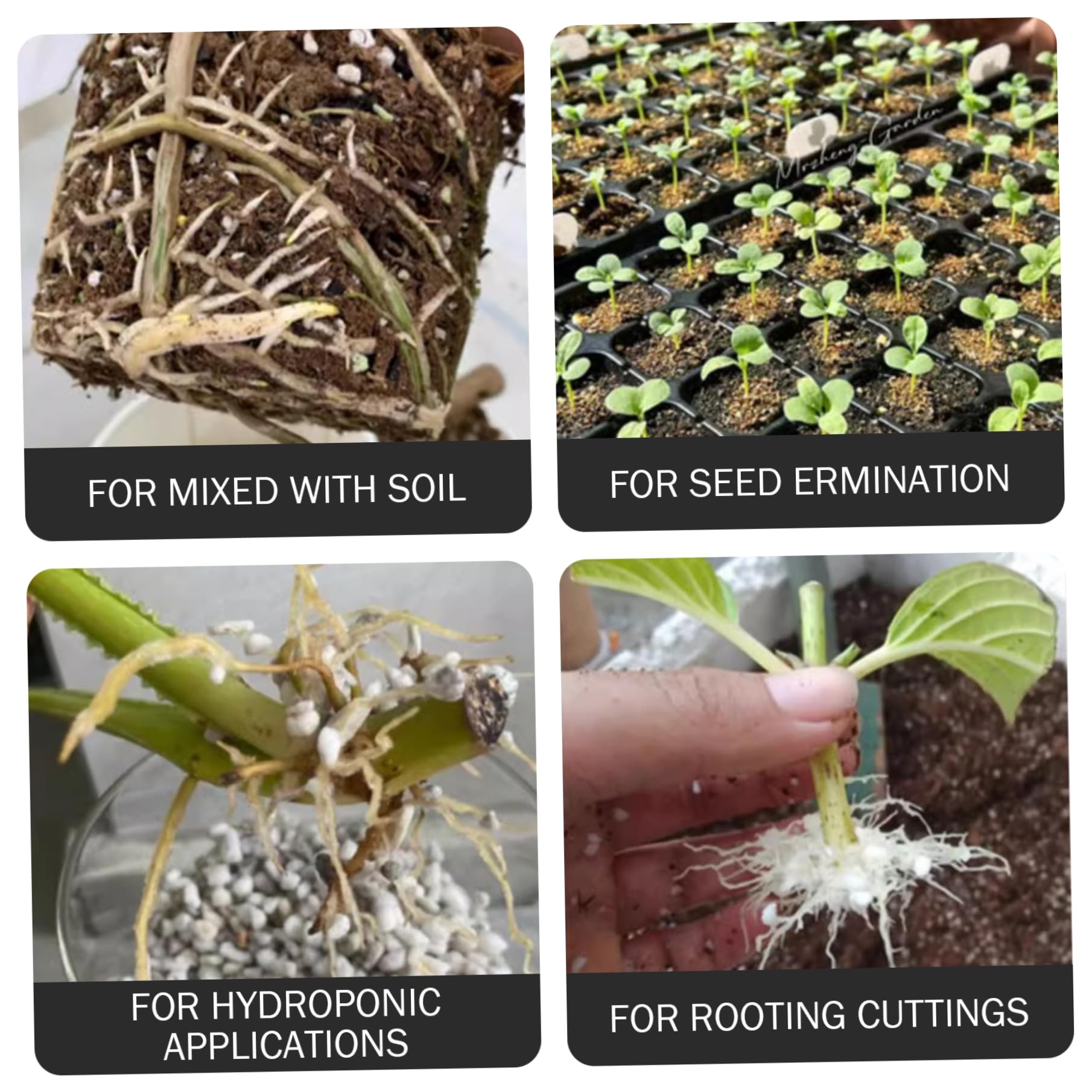 Perlite Sfusa, Perlite per Il Giardinaggio, per Piante in granuli Grandi da 3-6 mm da 25 Litri, Ammendante Organico del Terreno Aerazione e drenaggio migliorati nell'impasto per vasi