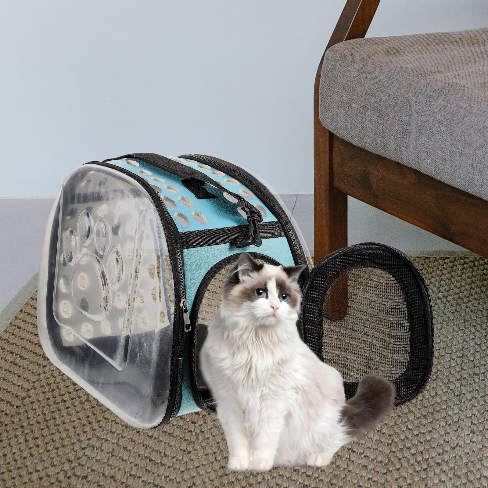 Transparenter Katzentransportrucksack für Reisen und Camping, Blau