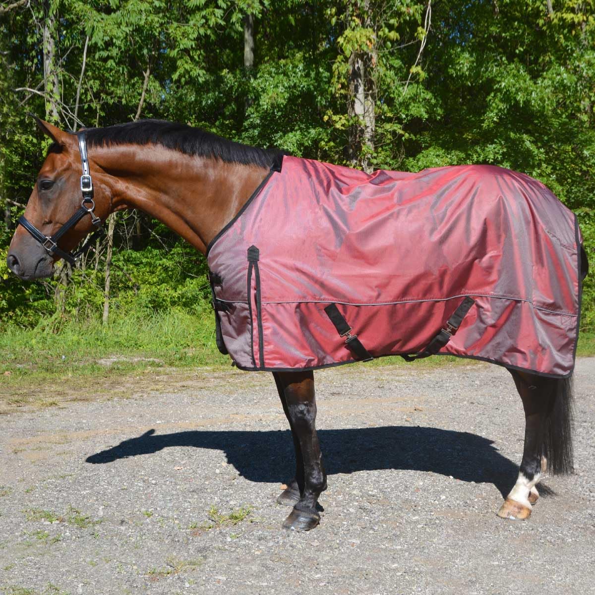 Country Pride Arctic Breeze Lightweight Turnout Blanket (68)