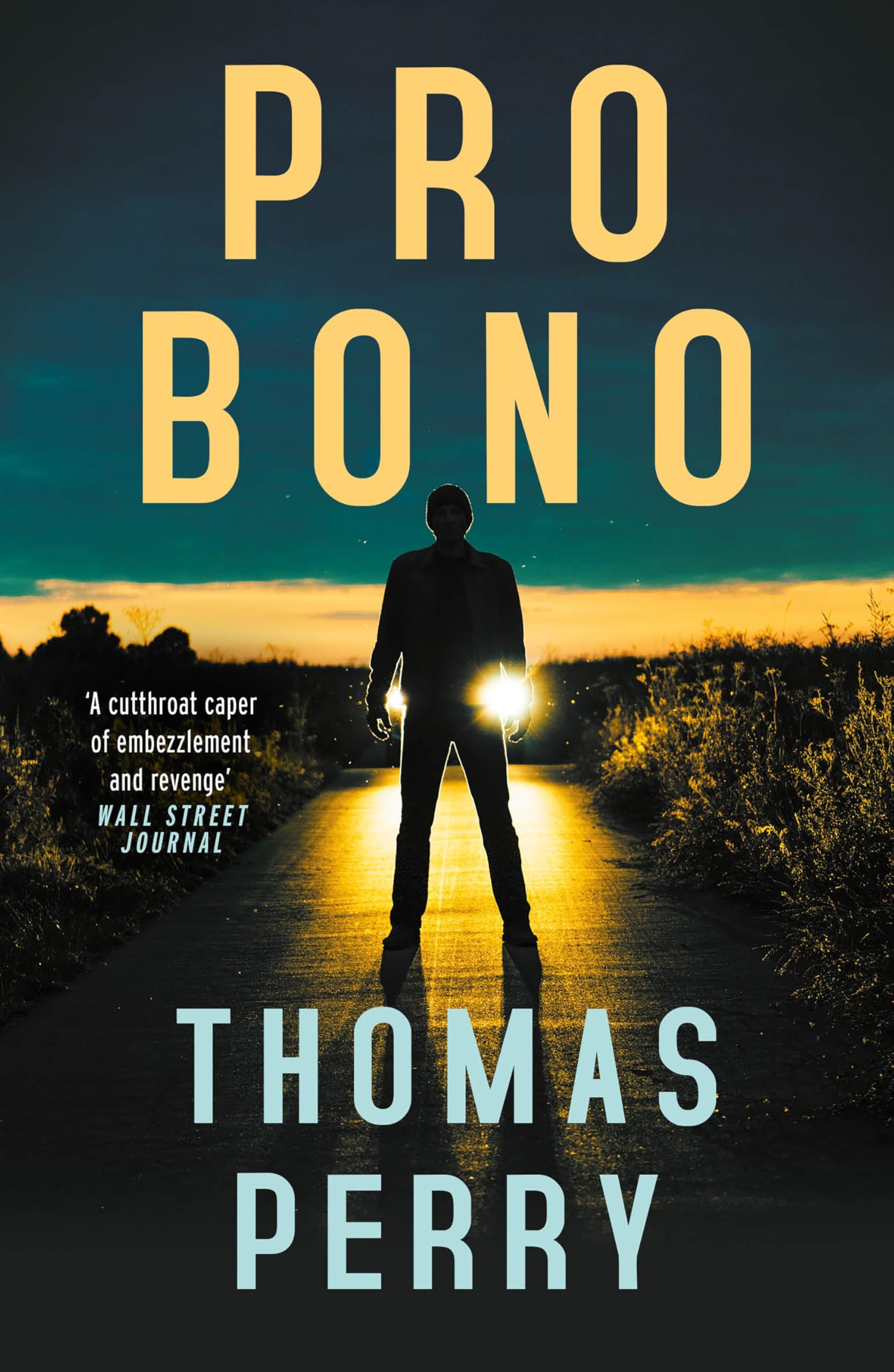 Pro Bono - 9781804711040