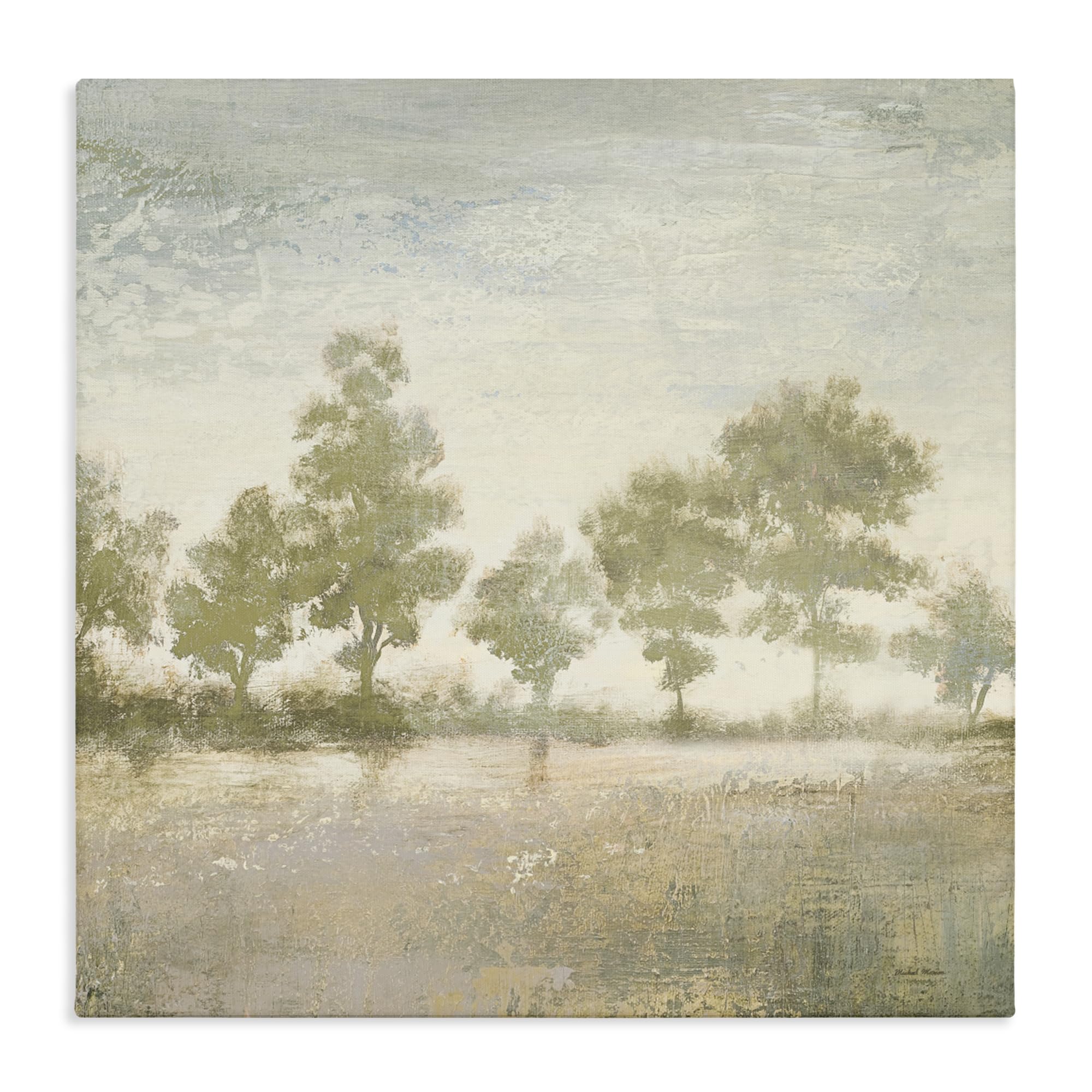 Stupell Industries Forest Light Serenity 'Forest Light Landscape', Canvas Art, 30 X 30 Inches, Easy To Hang And Sturdy, Made In Usa, By Michael Marcon