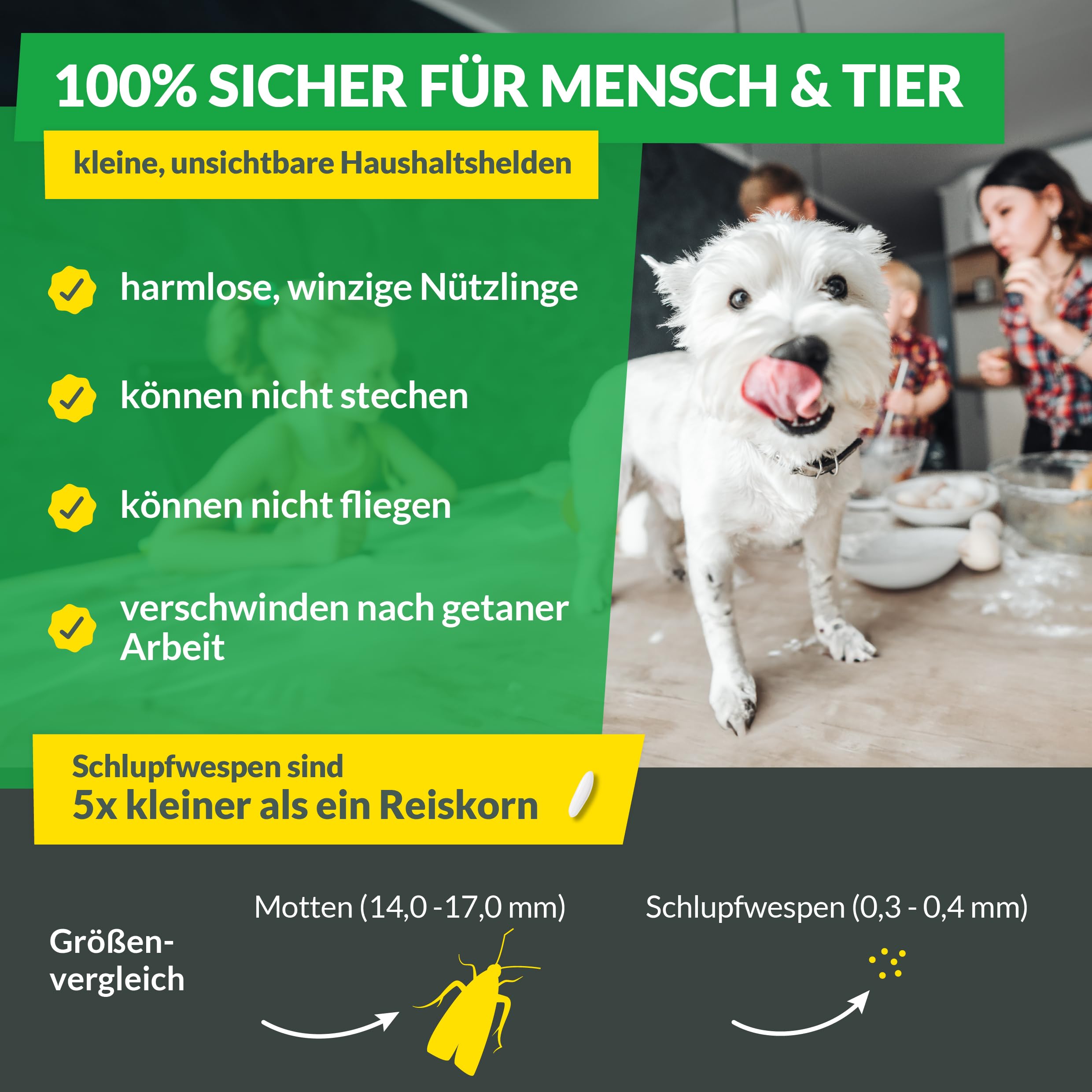 Hey Nature® Schlupfwespen gegen Lebensmittelmotten, 9 Karten (3 Karten à 3 Lieferungen). Effektiv Lebensmittelmotten bekämpfen mit Schlupfwespen gegen Motten. Alternativ zu Mottenkugeln & Mottenspray