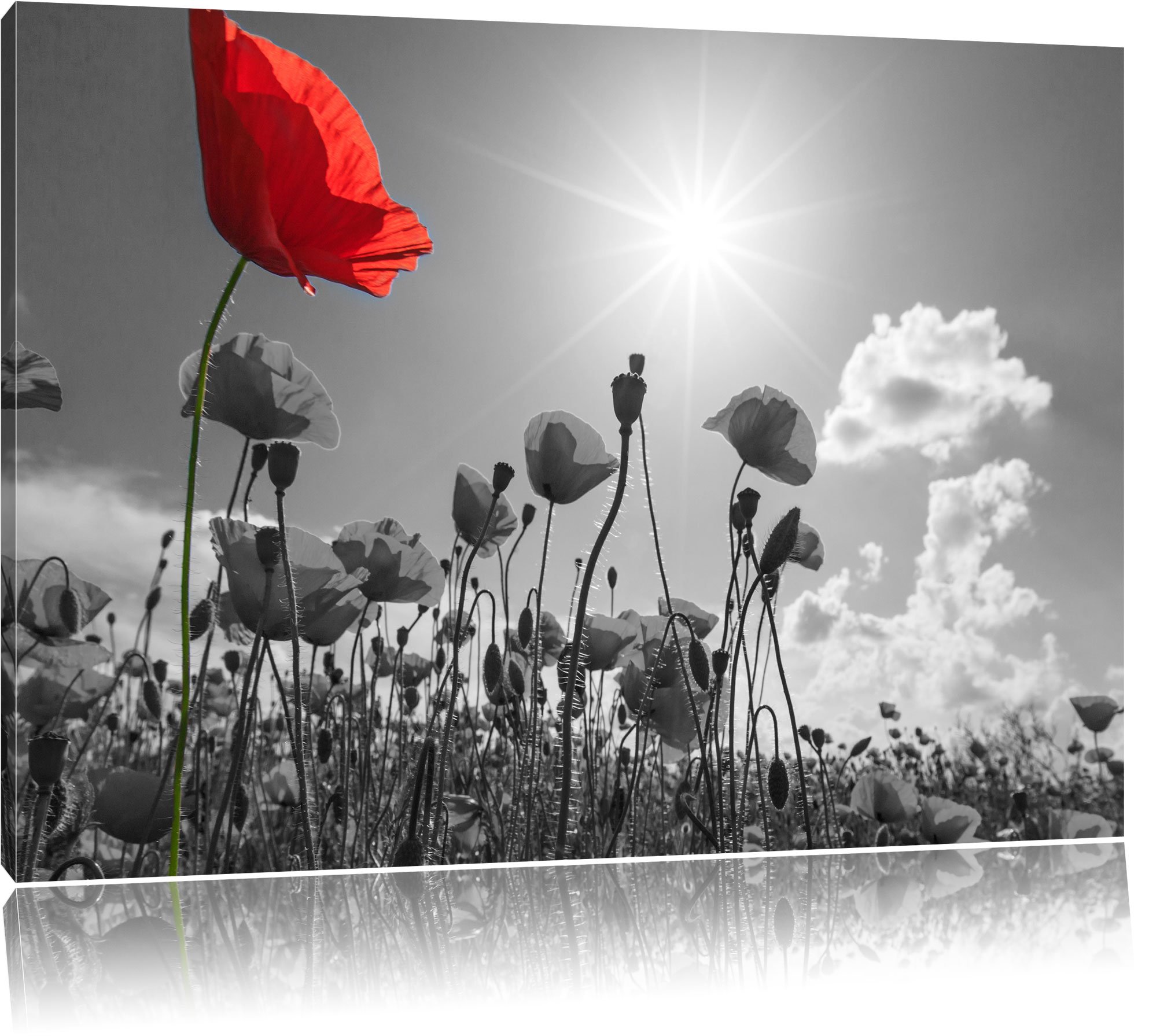 Toile Décorative Champ De Coquelicots En été - 80x60 Cm - Impression Artistique - Fabriqué En Allemagne