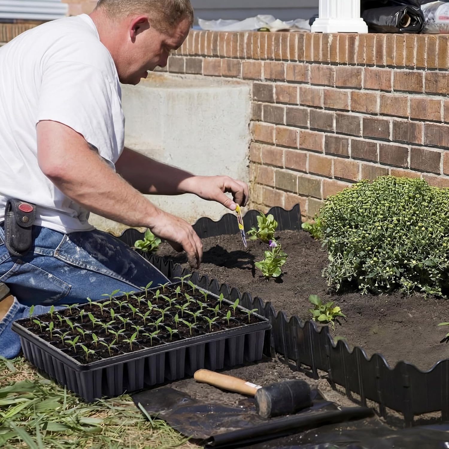 Baderke 12 Pack 2.8" Deep 54 Cell Seed Starter Trays, Thick Durable Plug Tray Big Cell Seed Starting Trays for 1015 Flat Tray Germination, 432 Cells Reusable Plant Propagation