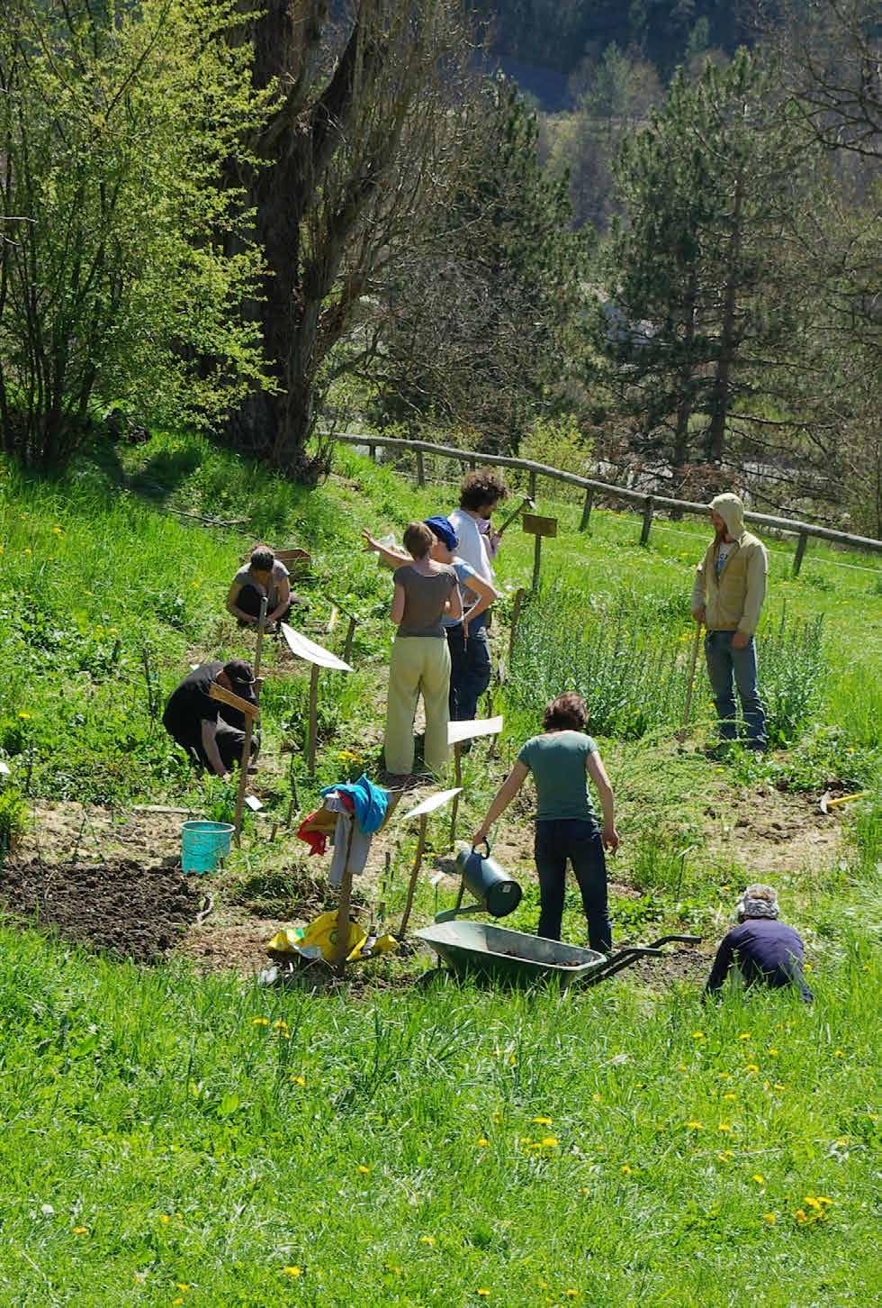 Cultiver les plantes tinctoriales: Créer son jardin, ses couleurs et ses teintures