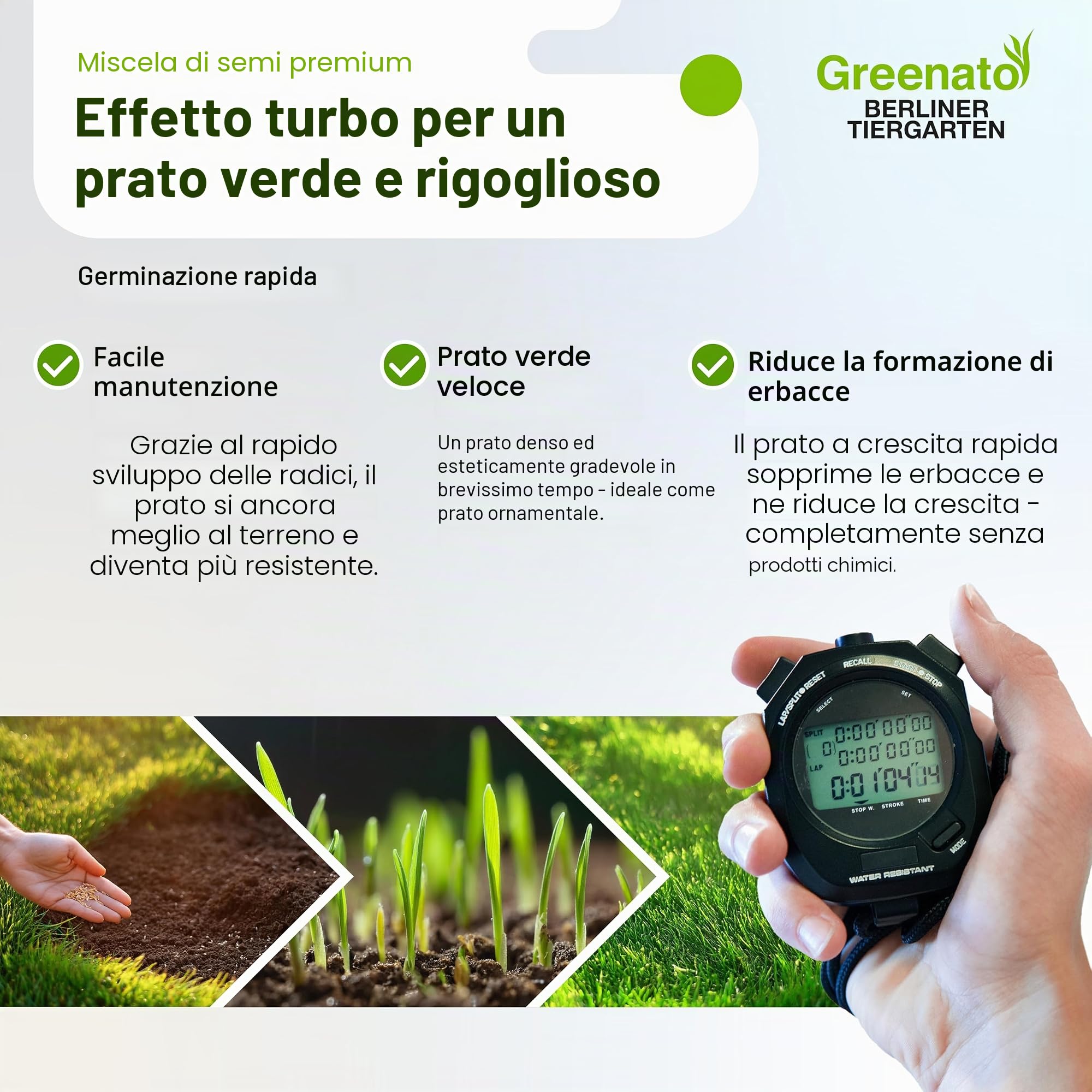Semi di prato Greenato Berliner Tiergarten 10 kg, prato ornamentale, prato, semi di erba, semi di prato, erba - unità di imballaggio a scelta tra 1-30 kg