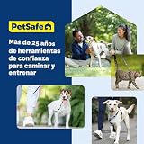 Ver la foto 8