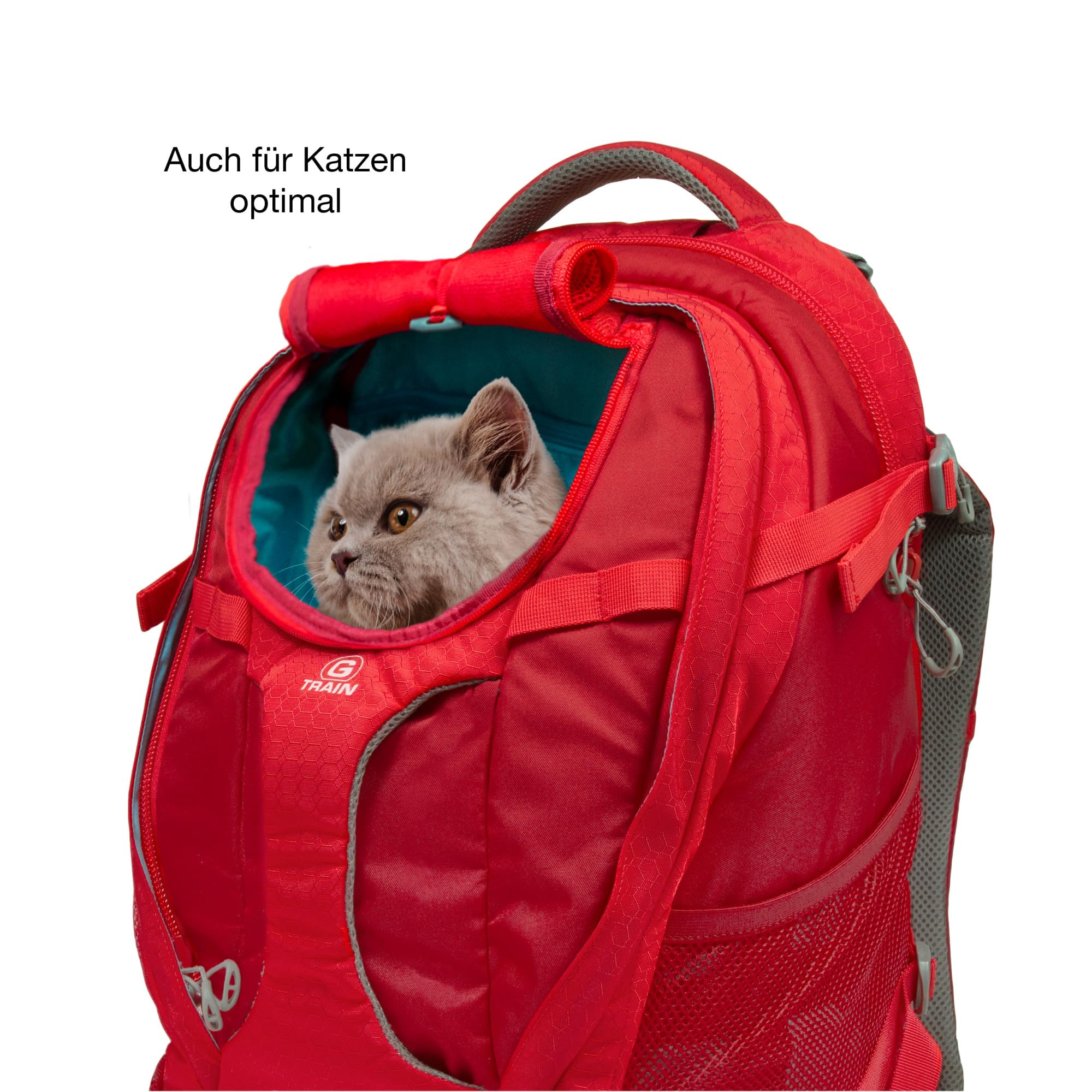 Kurgo G-Train Hundetransportrucksack - Bequeme Reisetasche für Hunde bis zu 11 kg - Wasserdichter Boden - Rucksack mit mehreren Fächern - Wanderzubehör, Robuster Abenteuerrucksack - Schwarz