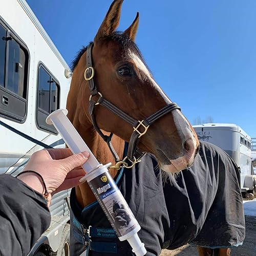 Miniatura 8 de MagnaGard Eagle Equine - Pasta calmante de prerendimiento para caballos, soporte gástrico totalmente natural (paquete de 6)