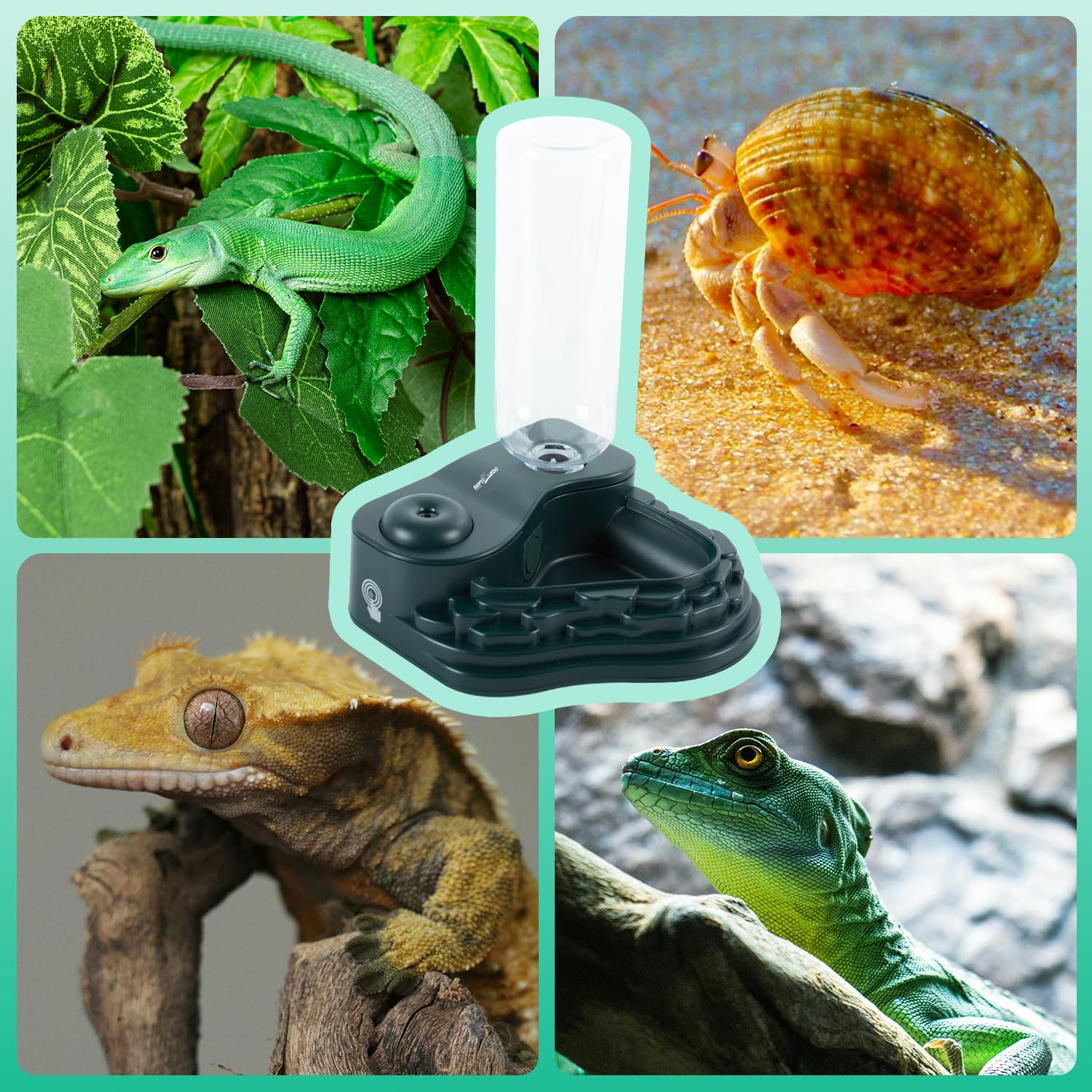 REPTI ZOO Comedero de agua y nebulizador, humidificador 2 en 1 para reptiles con cuenco de agua, dispensador de agua automático para camaleón, rana, lagarto y geco