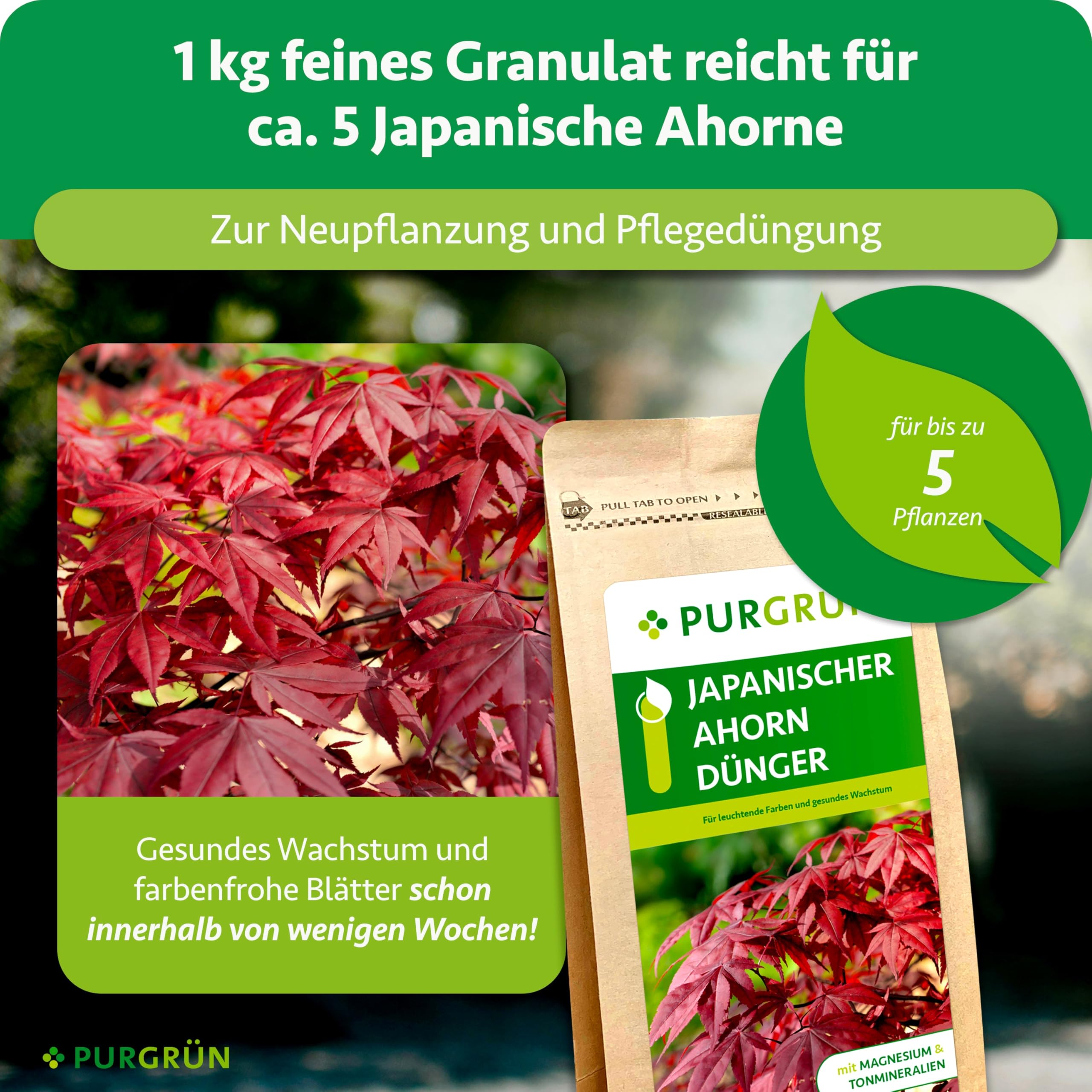 Japanischer-Ahorn-Dünger 1 kg – Organisch-mineralische Rezeptur – Feinkörniges Krümelgranulat – NPK 5+4+6 – Extra Magnesium für eine intensive Blattfärbung – Verbessert die Bodenqualität
