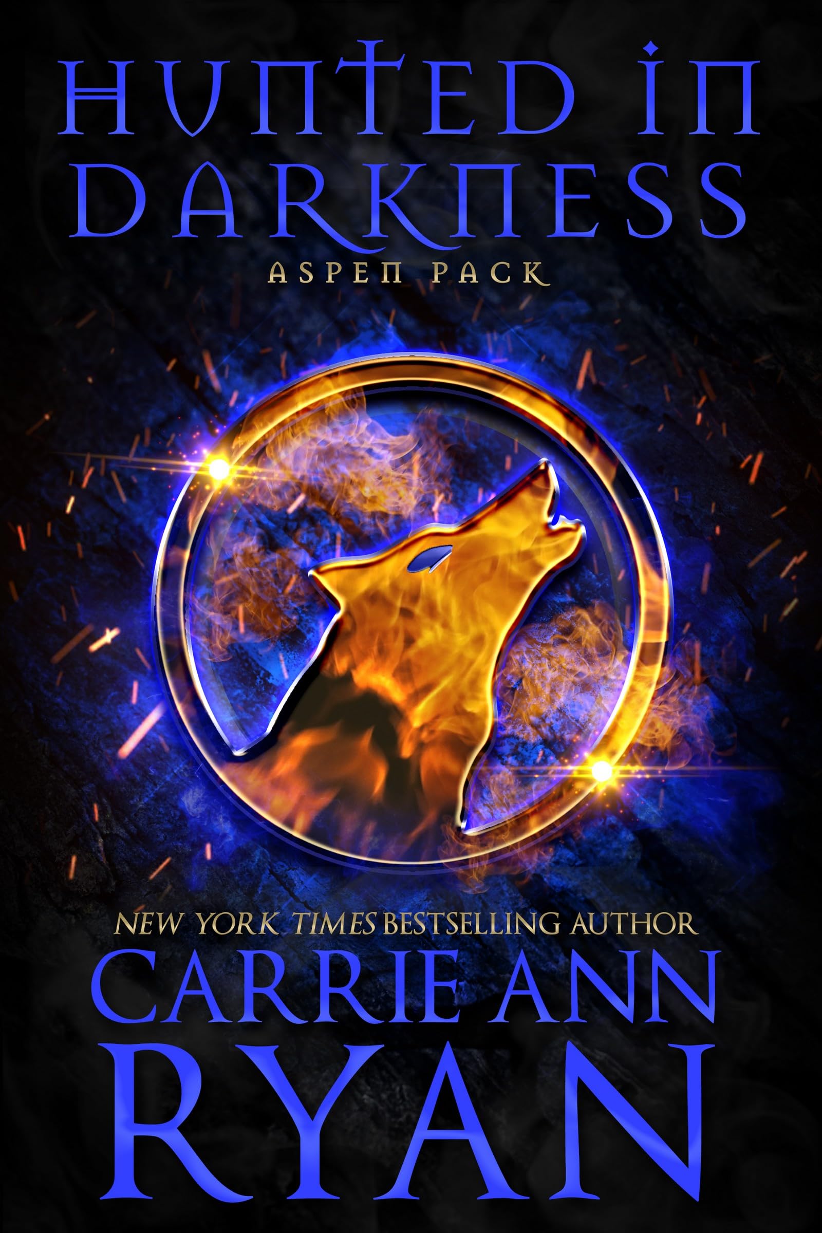 Cover of Hunted in Darkness