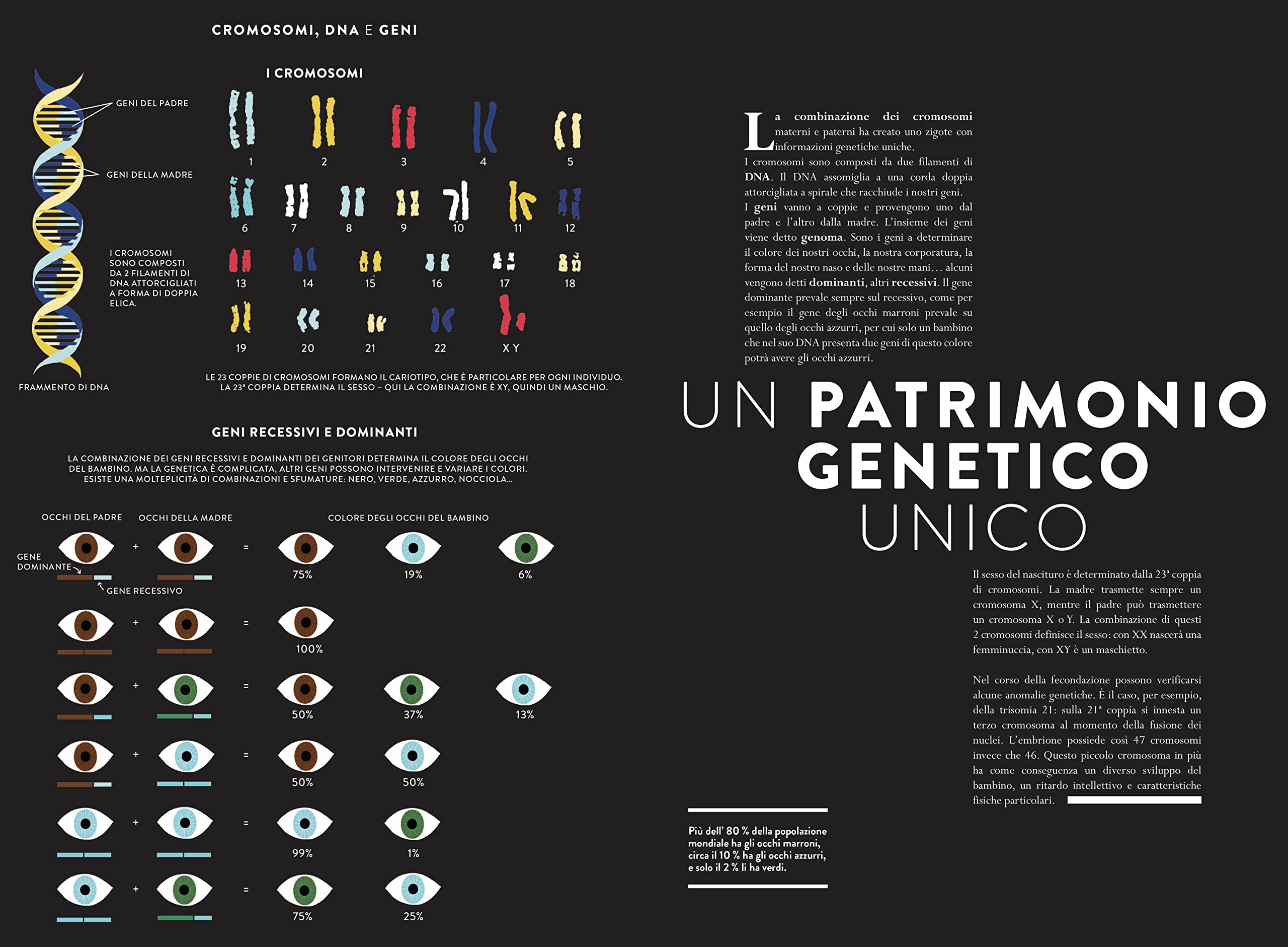 Nascita. Un libro animato per esplorare le origini della vita. Ediz. a colori