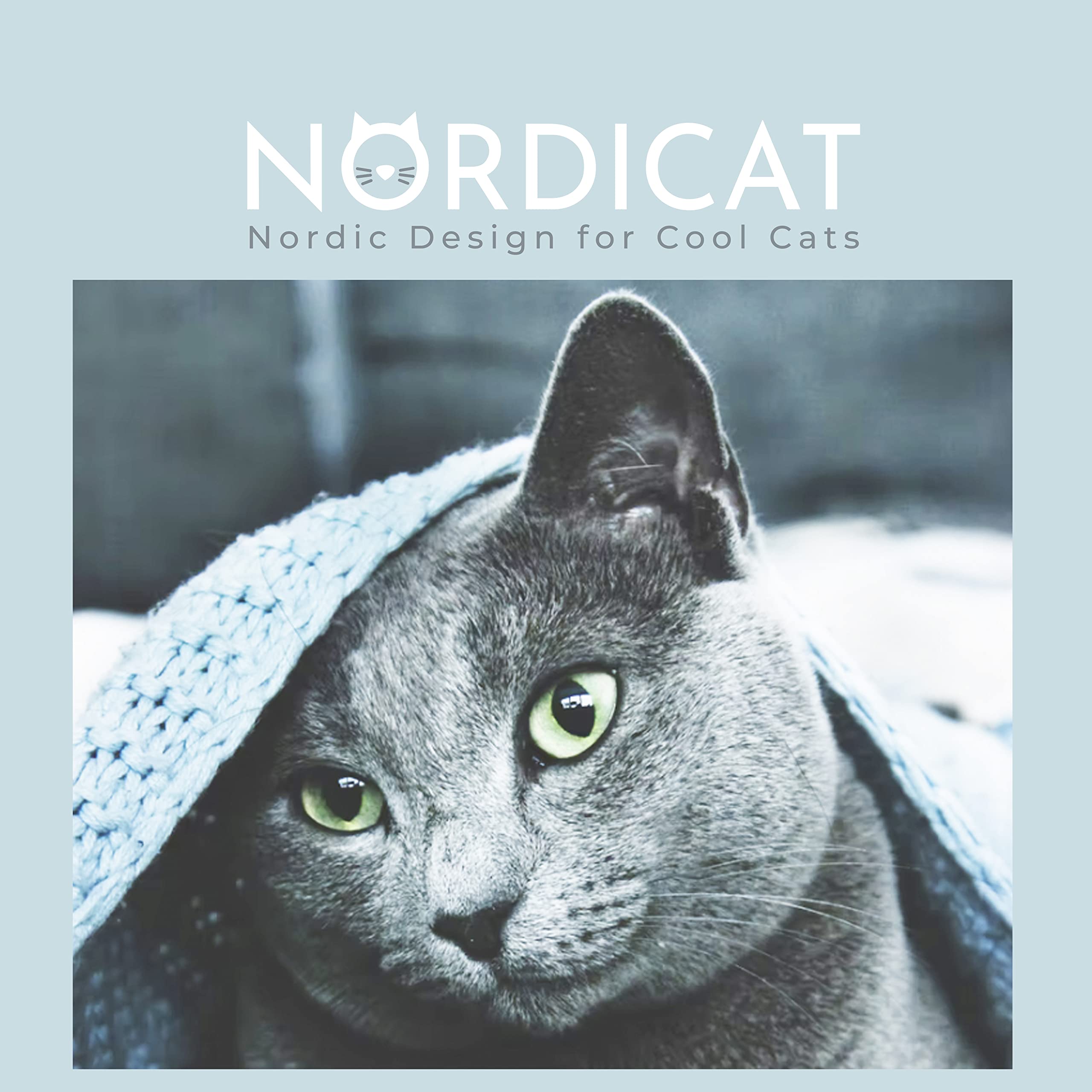 NORDICAT Comedero y Bebedero Gato con Soporte Elevado, Doble Cuenco Ceramica y Bambu Extraible Antideslizante, Accesorios en Madera Nordicat Ideal para Gatos o Perros Pequeños