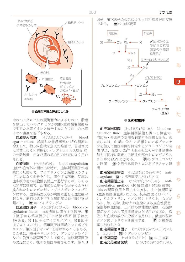 図説　臨床看護医学 図解 看護・医学事典 第8版 | 井部 俊子 |本 | 通販 | Amazon