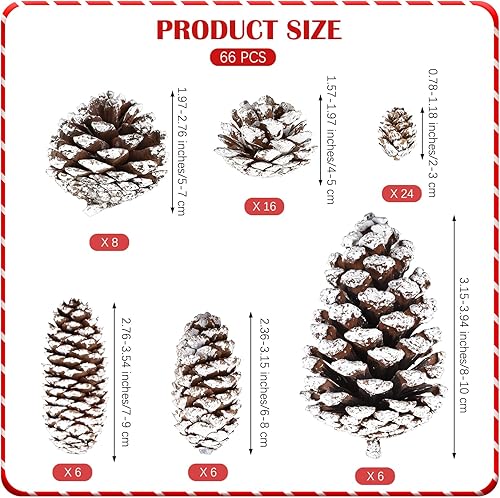 Miniatura 2 de Fovths 66 piezas de adornos de piñas de Navidad blancas como la nieve con cuerda, conos de pino rústicos naturales a granel, varios tamaños,
