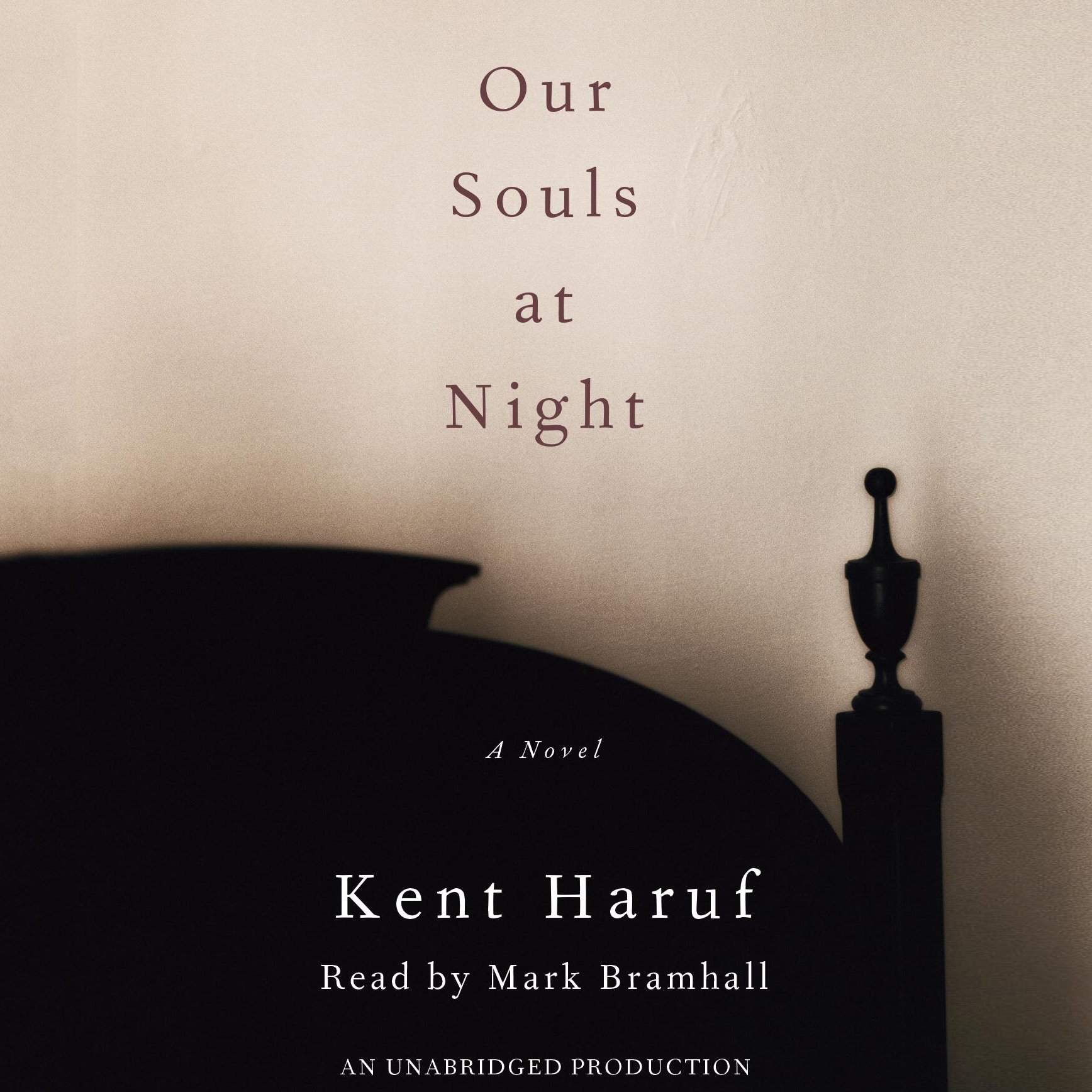 Cover art for Our Souls at Night