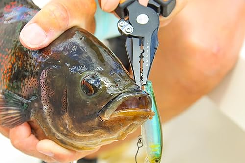 Miniatura 5 de danco Lunar Alicates de acero al carbono de 6.5 pulgadas, cortadores laterales, cortadores de alambre, funda personalizada, agarre moldeado doble,