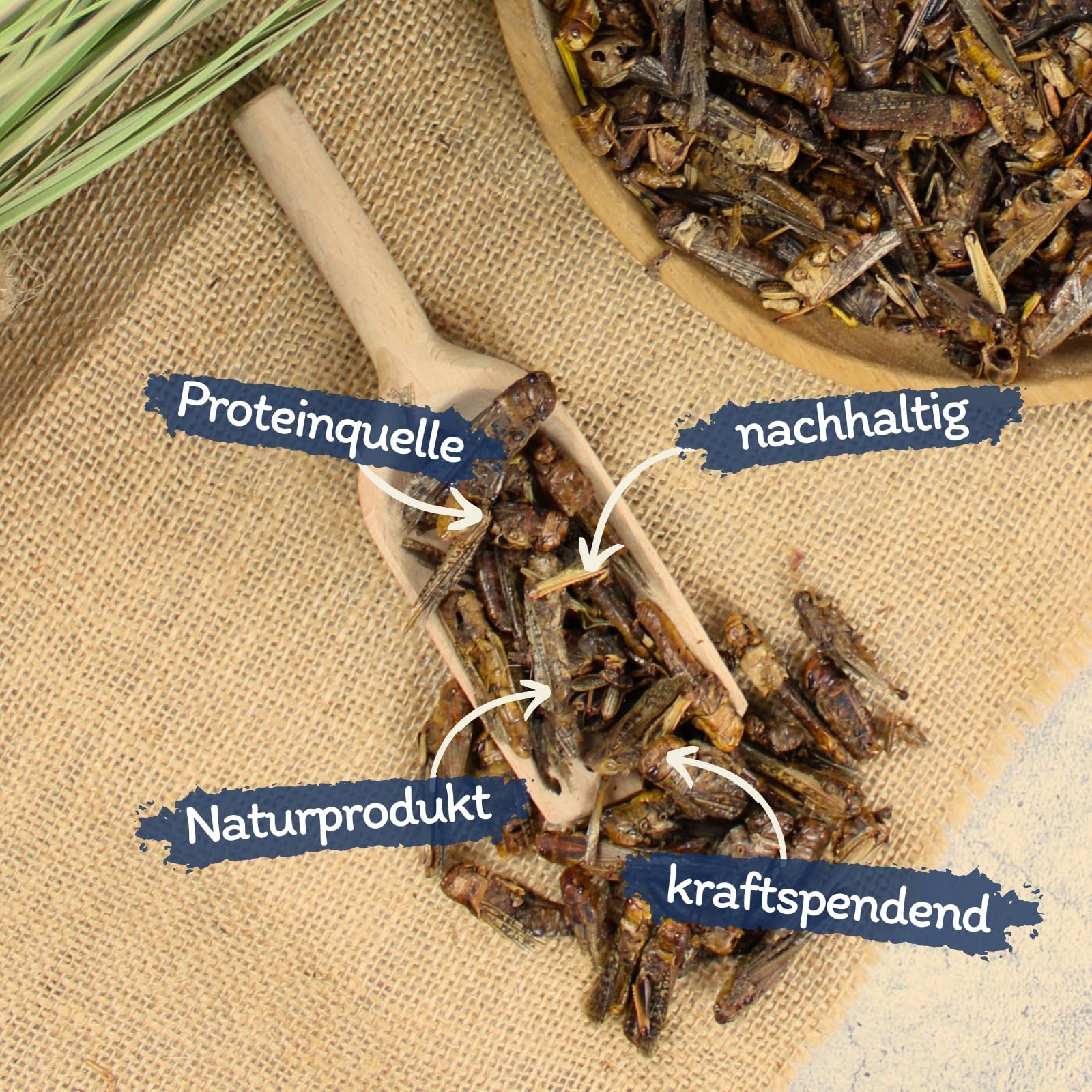 Lyra Pet® 5 kg Heuschrecken getrocknet Vogelfutter Wildvögel Nager | Reich an Proteinen & Mineralien - Schonend getrocknetes Vogefutter - Ideal als Ergänzung - Natürliches Futter