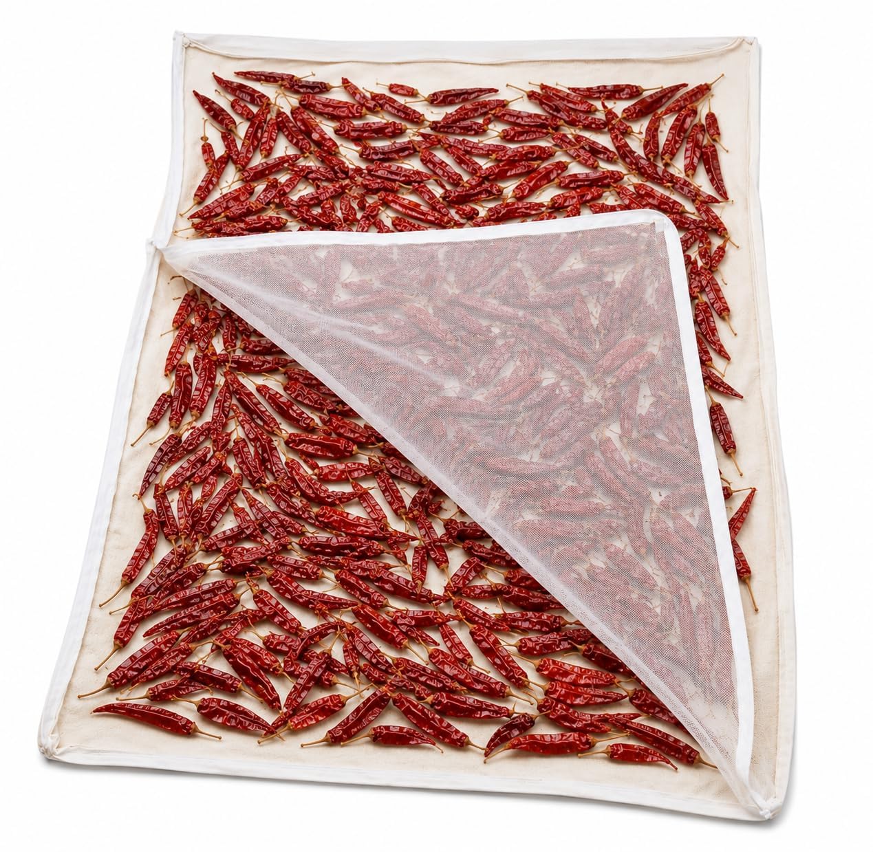 YAWEH Pack of 1 Big Size (58"X36") Cotton Drying Cloth with Net, Off White, 147 x 91 cm, Breathable, Washable, Reusable, for Papad, Vadagam, Spices, Millets and to Dry Mango for Pickle | Breathable, Washable & Reusable, For Papad & Vadagam, For Spices & Millets, Mango Pickle Drying-image-47