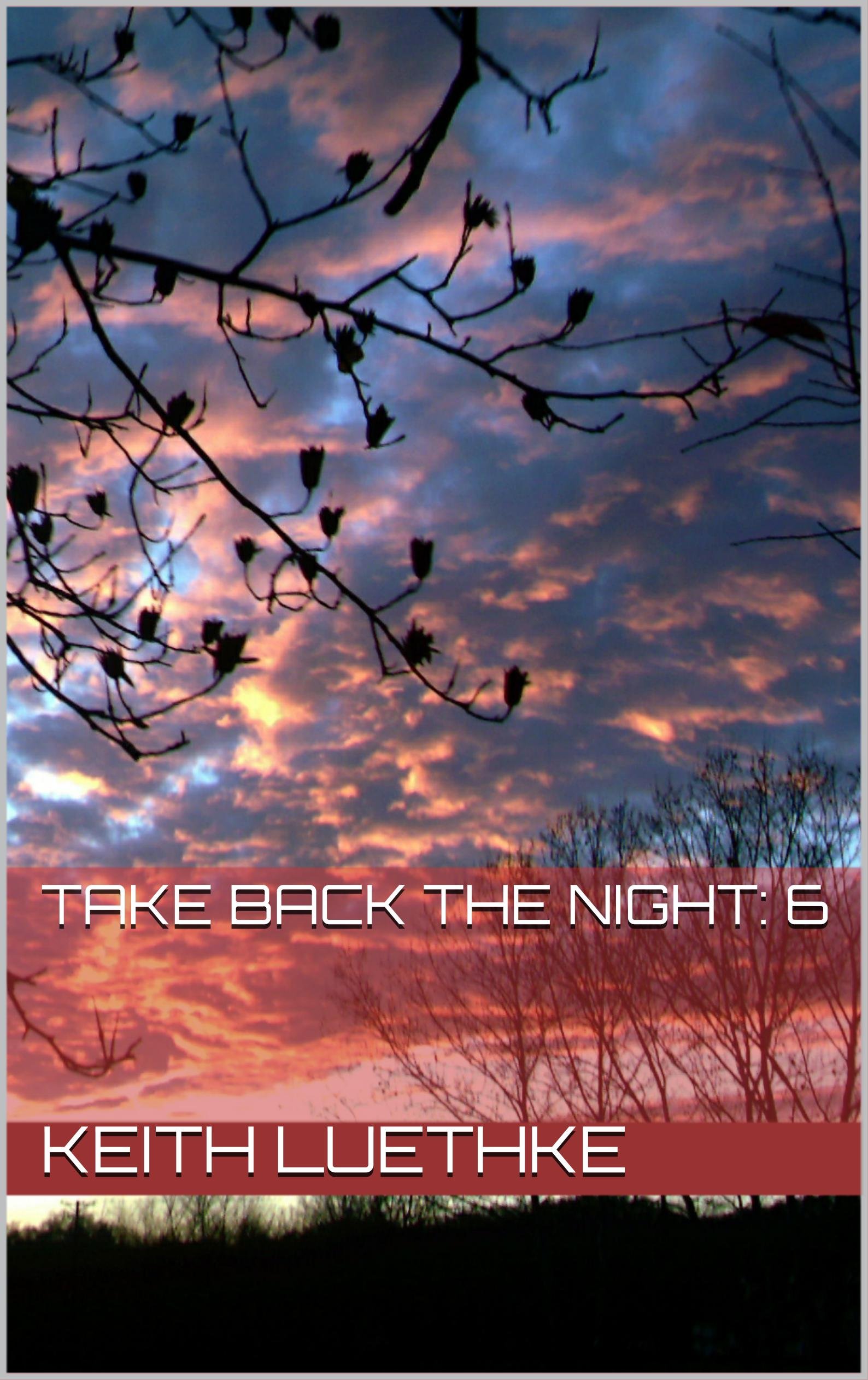 Cover of Take Back the Night, Book 6