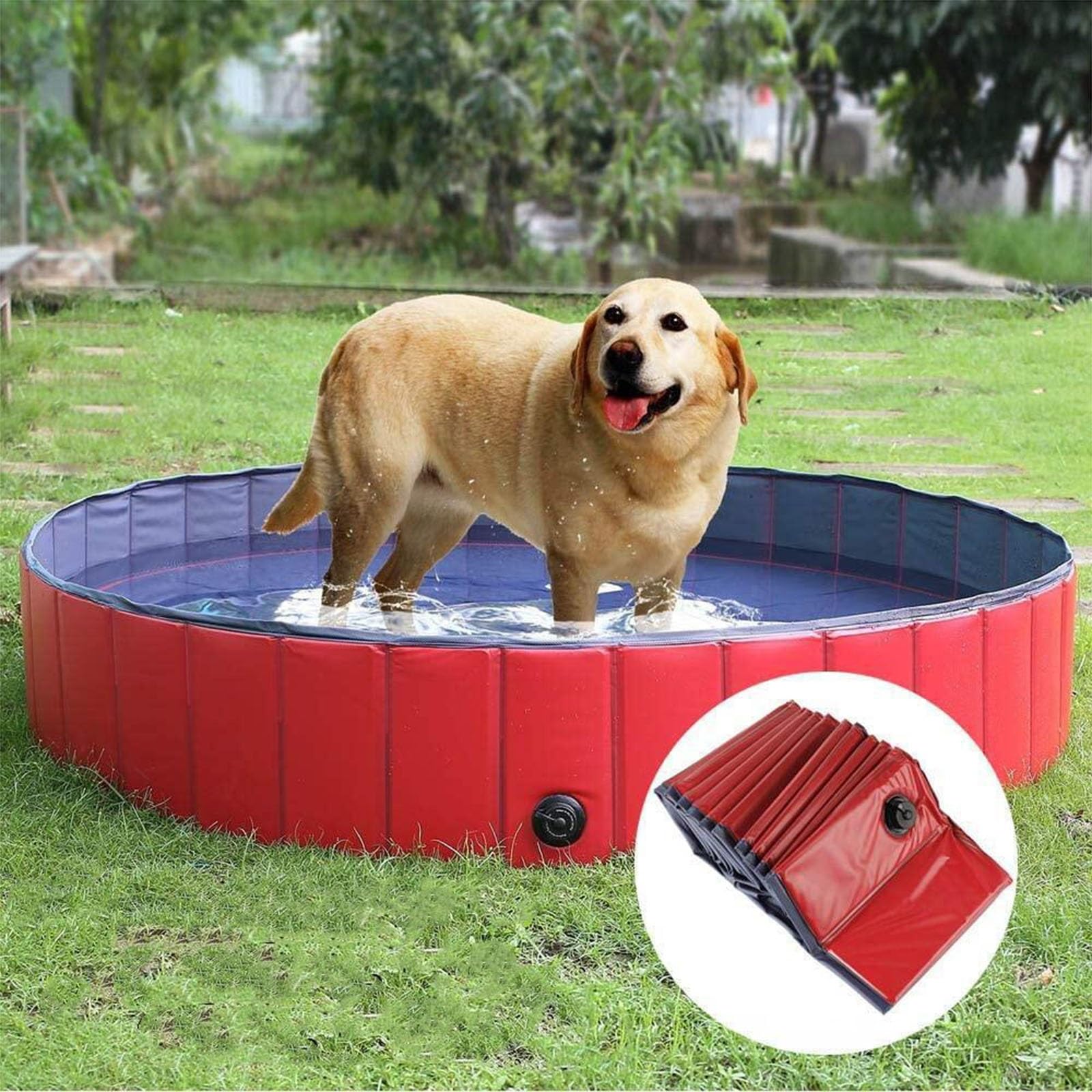 Caja plegable para partos y piscina para perros, piscina y bañera de plástico, para perros, piscina portátil para parto y baño (Rojo, 120 x 30 cm)
