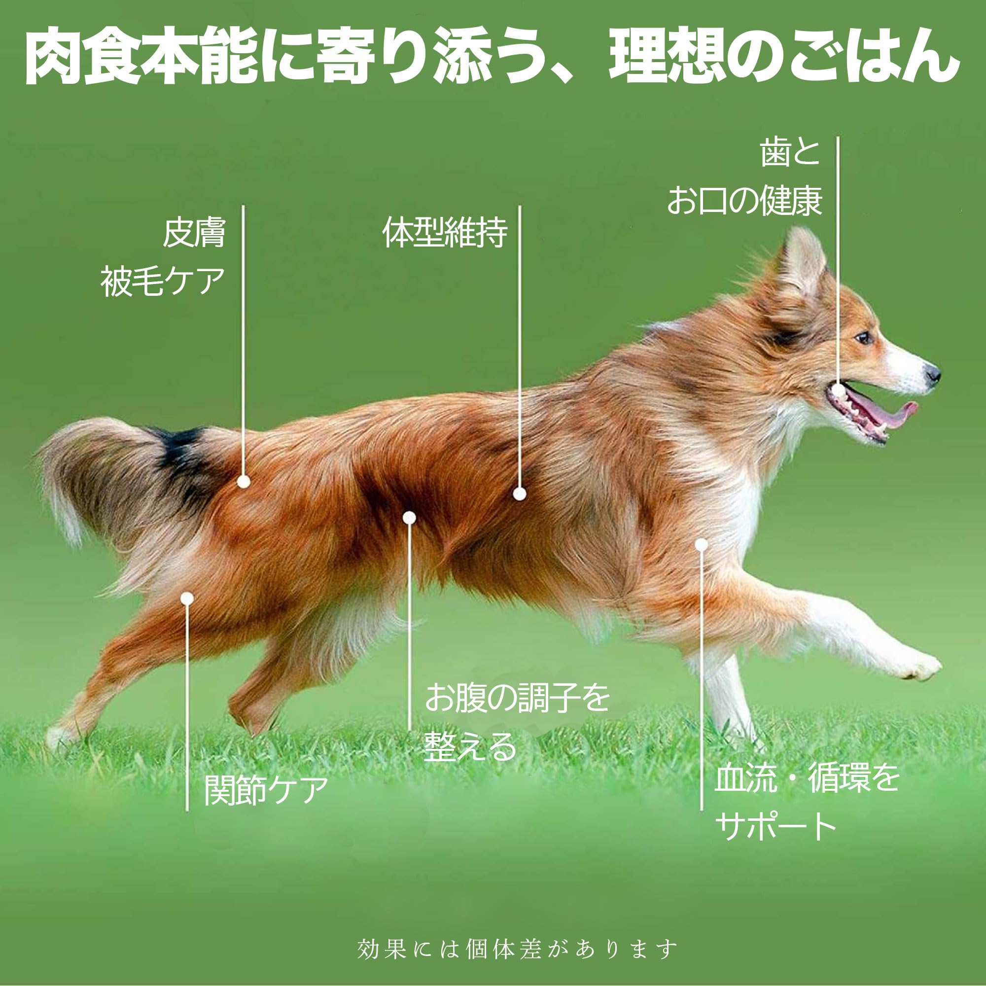 Amazon.co.jp: ziwi エアドライドッグフード トライプ&ラム 1kg 自然