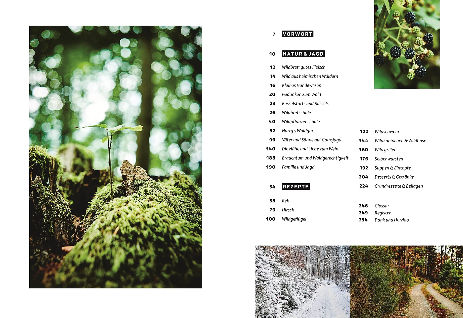 Wild – Wald – Genuss: Rezepte, Geschichten, Wissen. Vom Kochen und Jagen