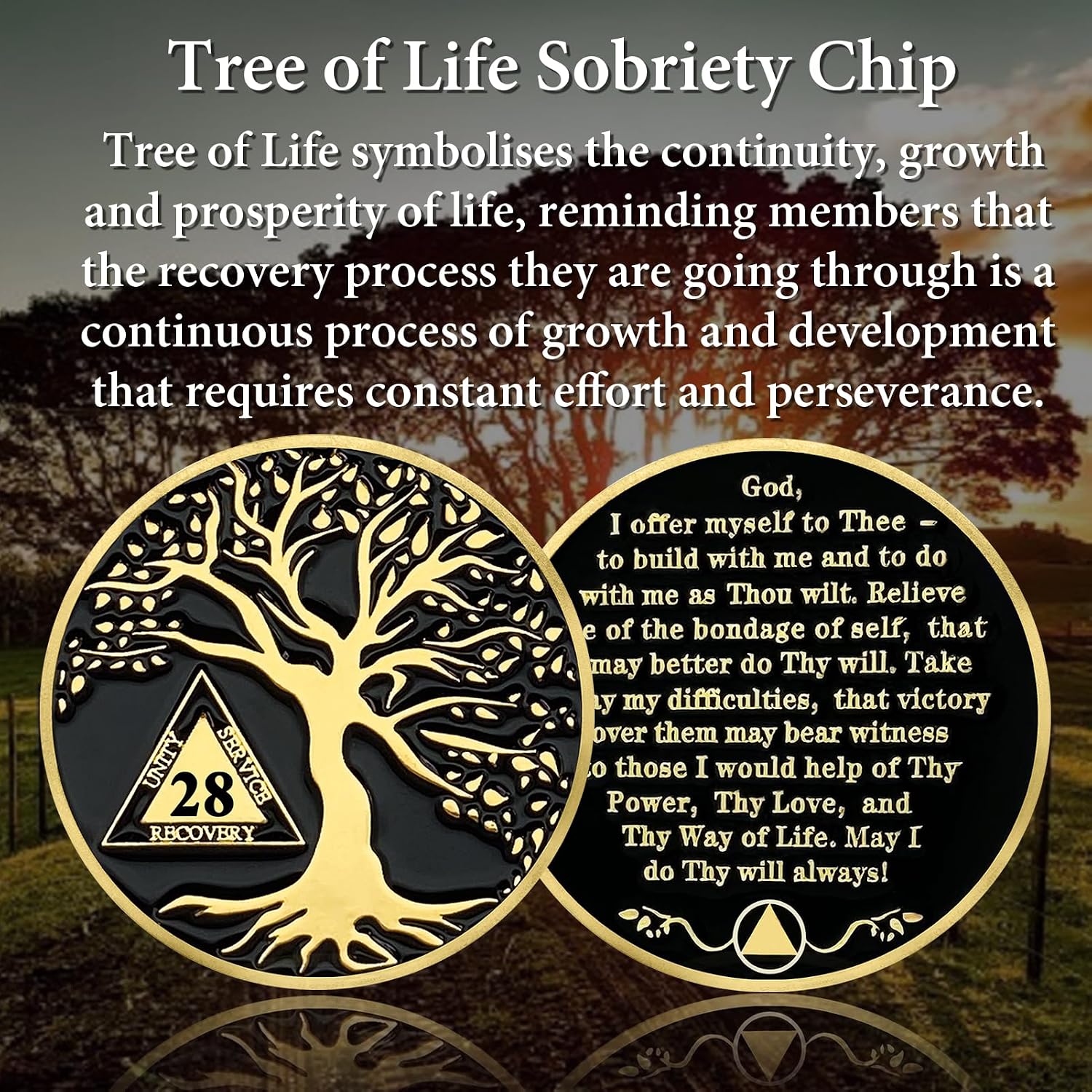 28 Year Sobriety Coins, Tree of Life 28 Years AA Coins - AA Sobriety Chips Recovery Medallions Sober Tokens for Alcoholics Anonymous Recovery Sober Gifts for Men Women