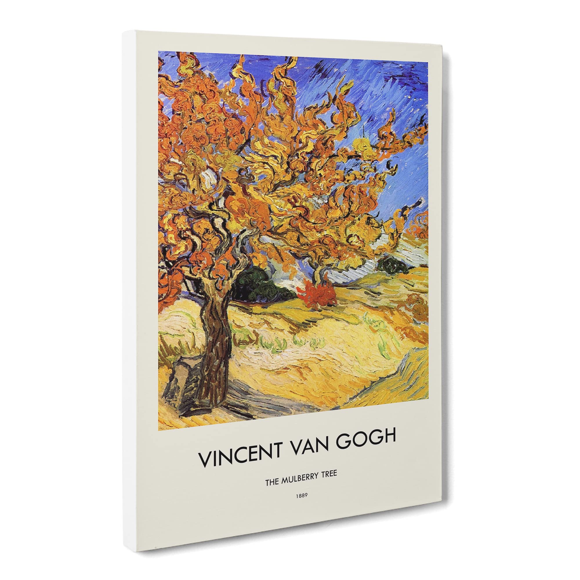 Mulberry Tree By Vincent Van Gogh Canvas Print, Mixed, 25L x 50W cm