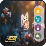 春の蝶の庭 - 4K自然テレビスクリーンセーバー