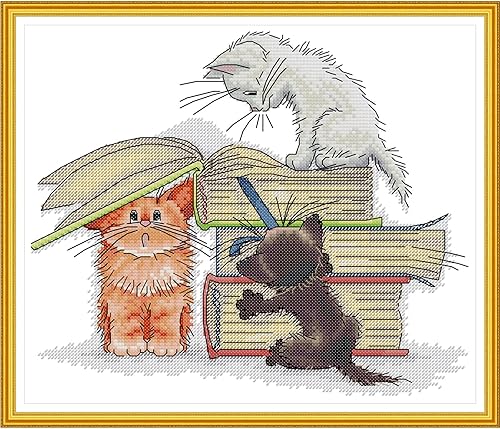 Bilrost Kits de punto de cruz para principiantes, kits de punto de aguja para adultos, kits de punto de cruz para adultos, kit de costura de 14