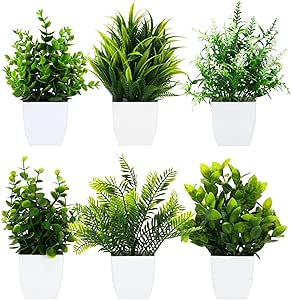 Amazon: 6 plantas artificiales