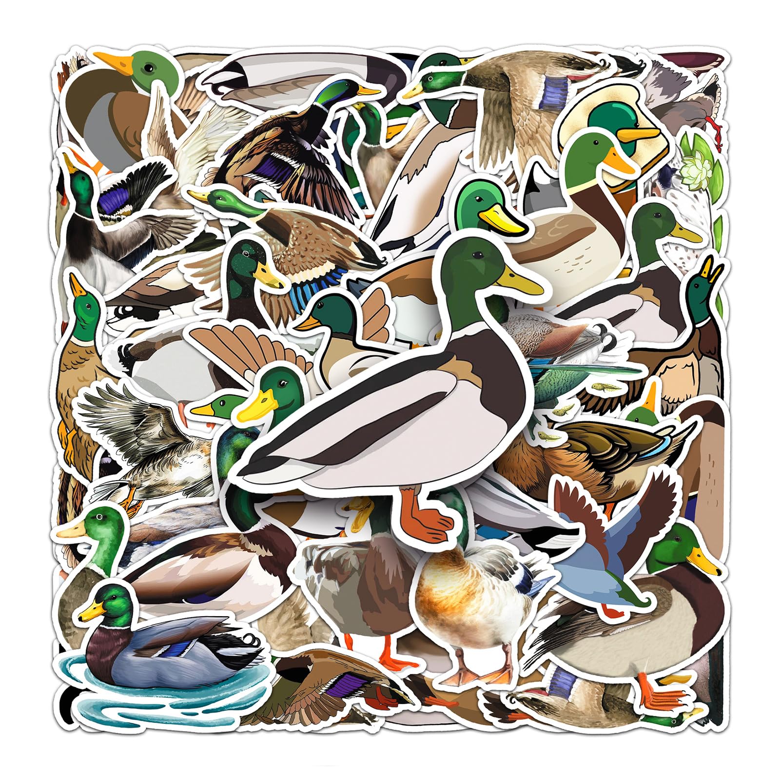 Chaopaitiezhi Girls Green, Brown 50 Pcs Mallard Vinyl Stickers,Swimming Mallard Duck Graffiti Stickers,Vinyl Waterproof Sticker For Kids Teens ,For Phone Laptop Bottles Skateboard Computer Phone Luggage Guitar Gifts Sticker