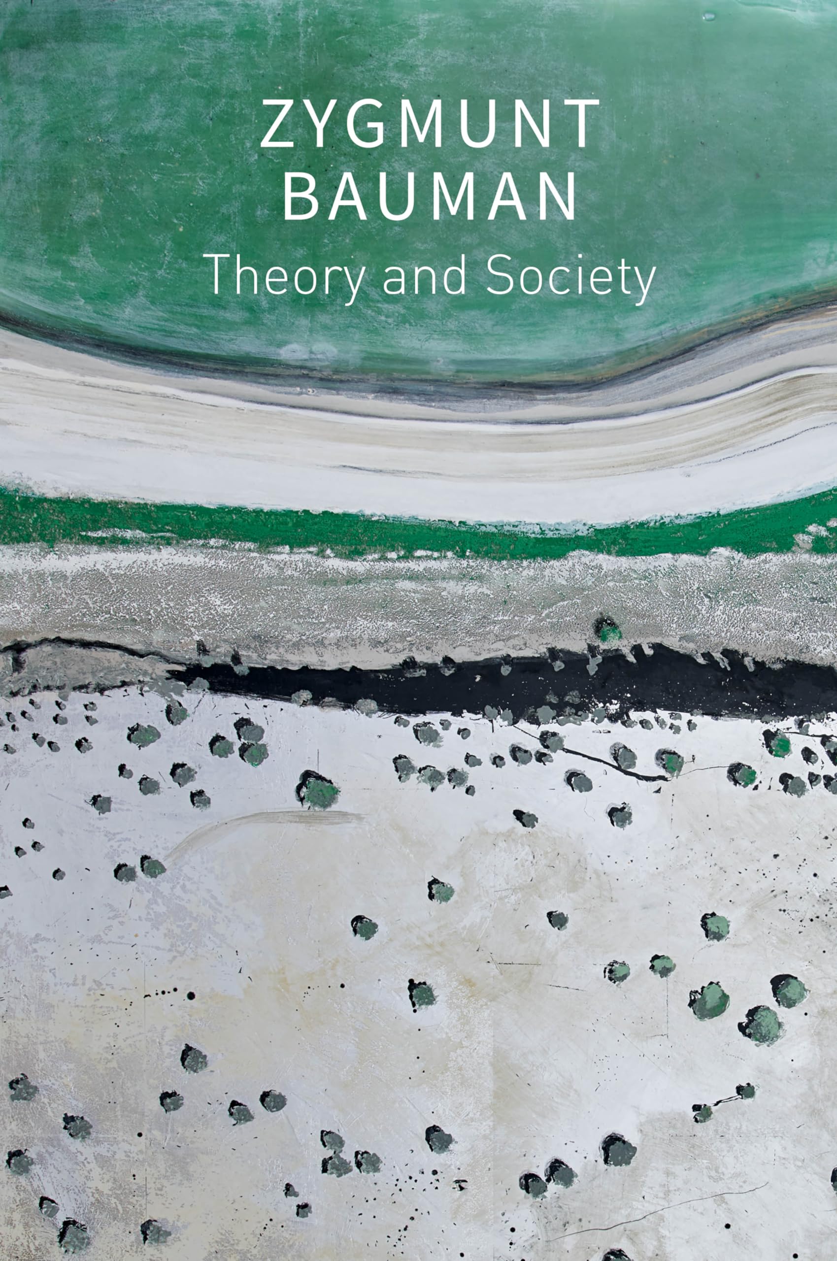Theory and Society by Zygmunt Bauman, Thomas Campbell, Darius... - 9781509550784