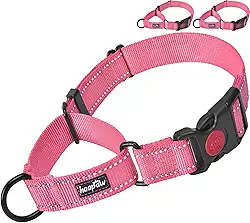 Coleira para cachorro Haapaw 2 pacotes com coleiras refletoras de liberação rápida para cães pequenos, médios e grandeshaapaw collar+collar, M neck 14'-16.5' rosa