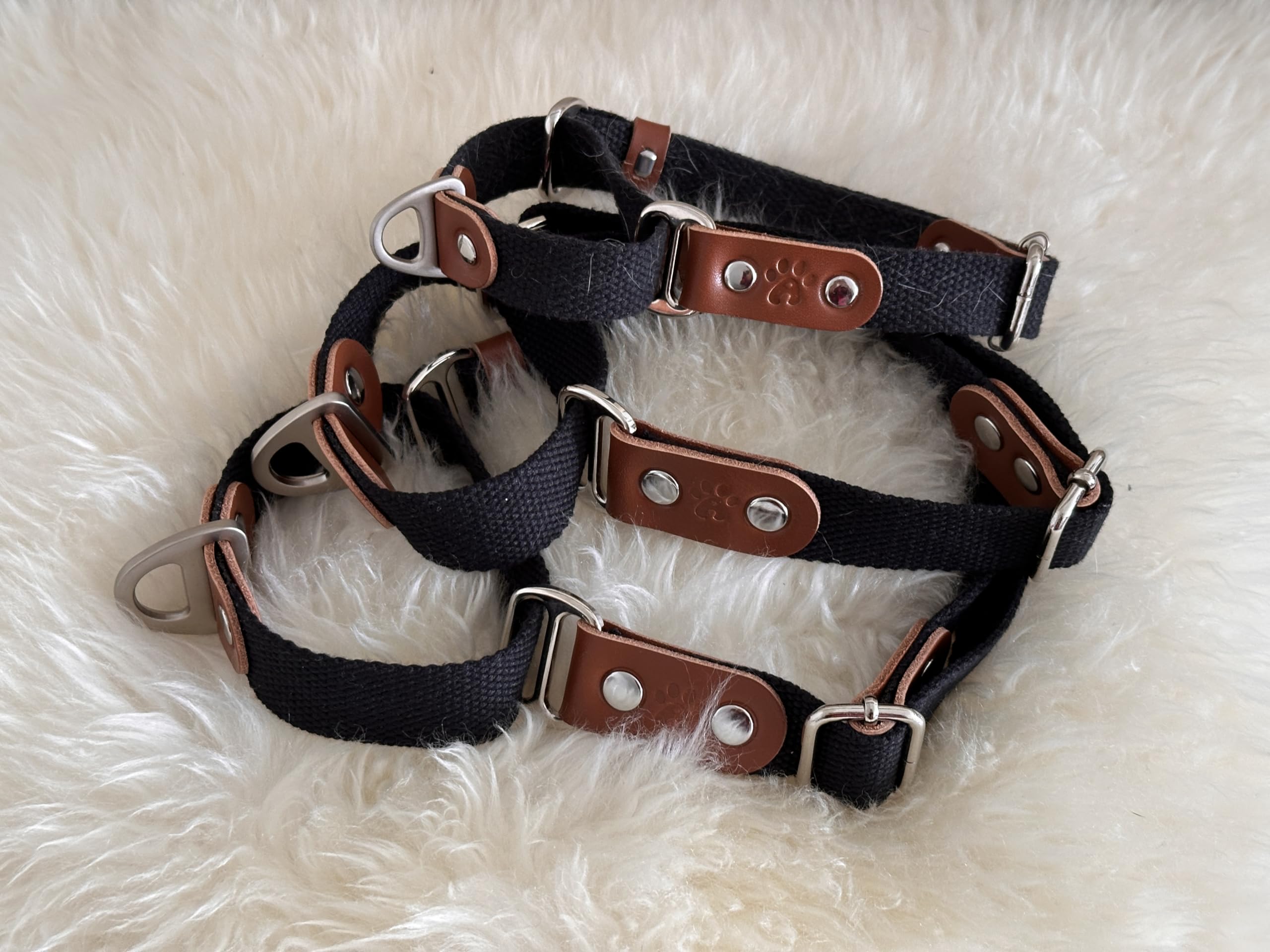 Collier pour Chien Martingale, Anti-Traction, en Poly-Coton et Cuir. M. Noir & Cognac