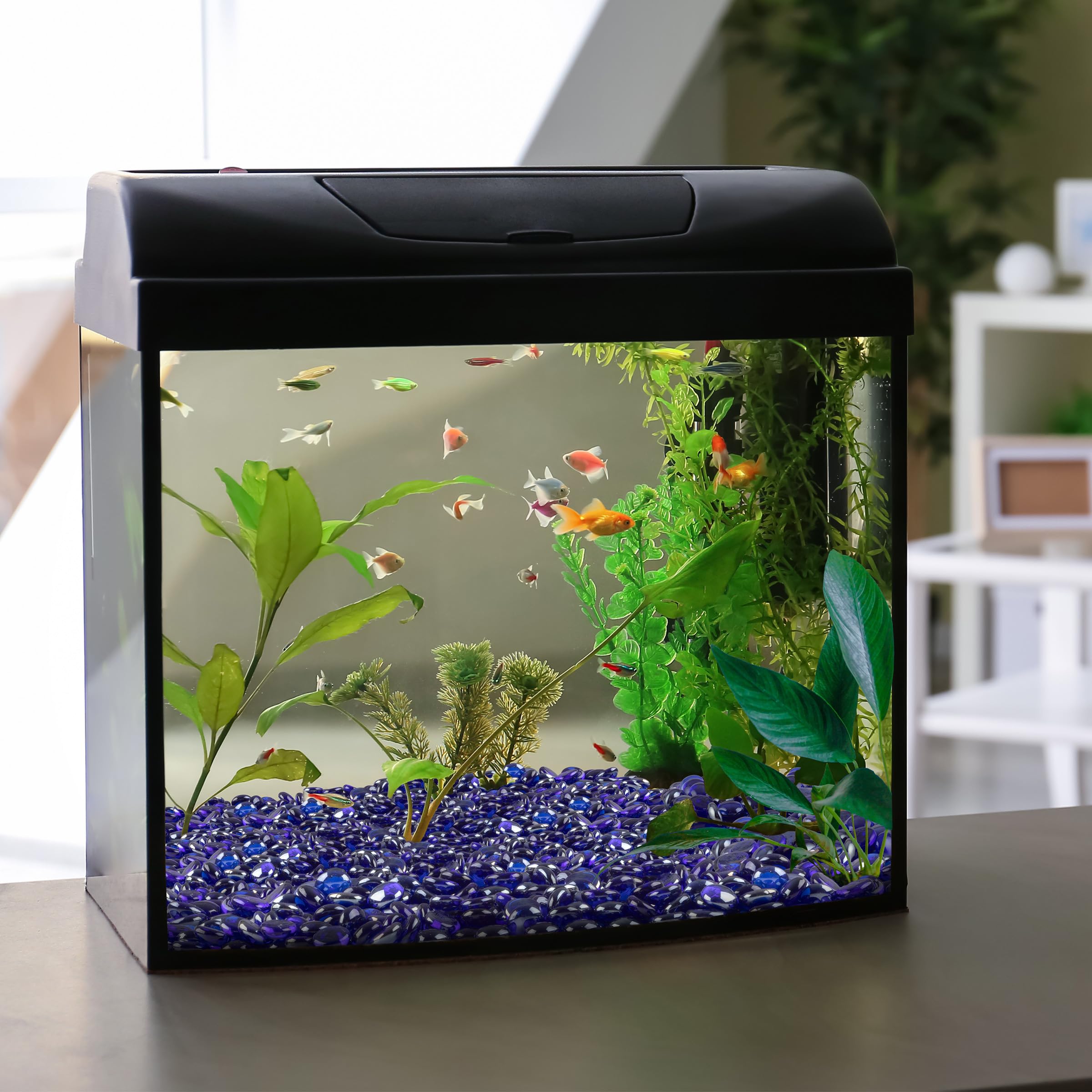 Pure Garden 50-LG1379 Pierres en verre pour foyer Bleu 4,5 kg