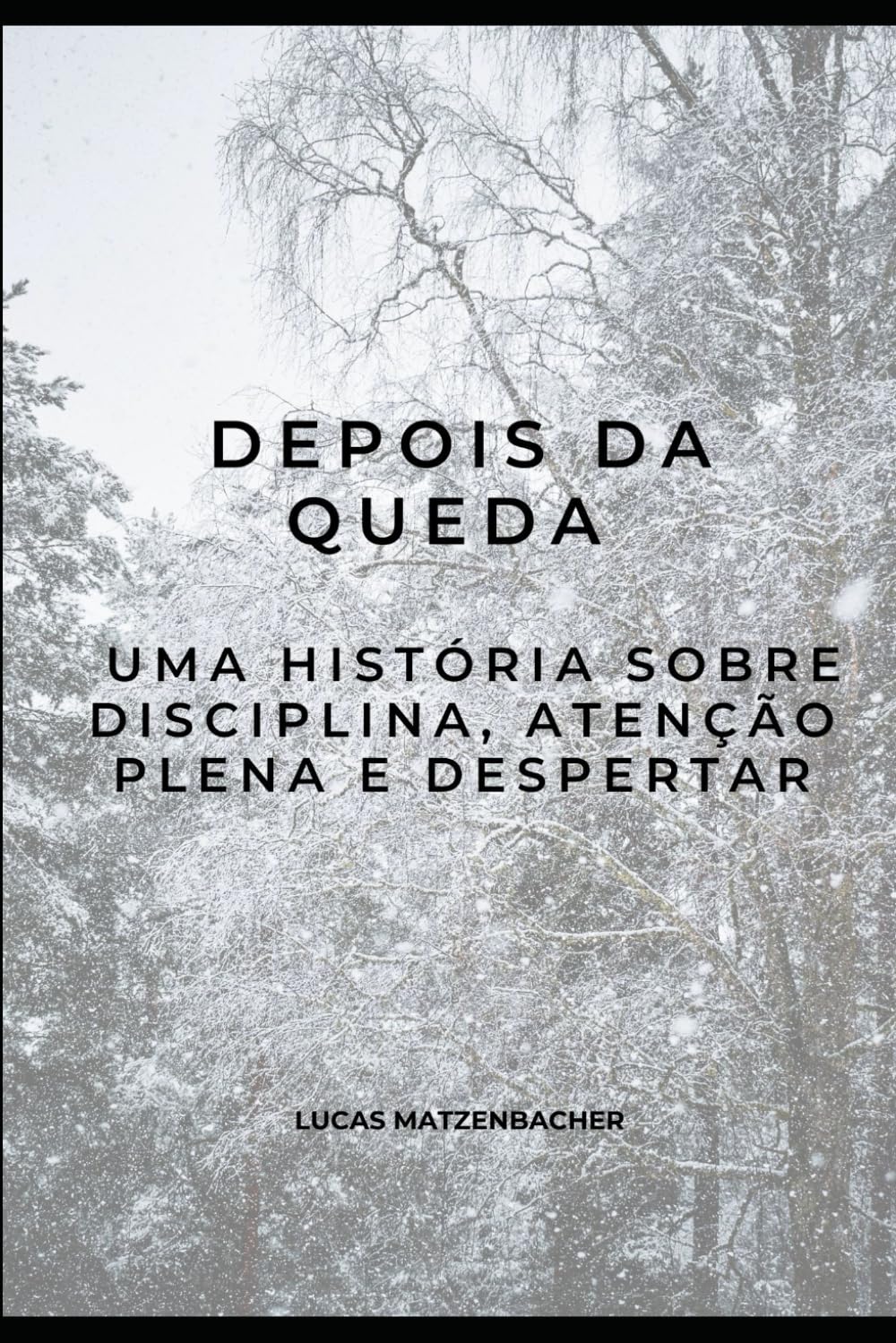 Depois da Queda: Uma História Sobre Disciplina, Atenção Plena e Despertar (Portuguese Edition)