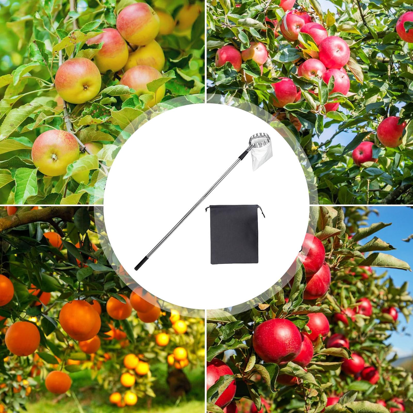 Raccogli Frutta In Metallo Ø14cm - Con Fondo In Spugna, Per Manici Fissi E Telescopici - Foto 4