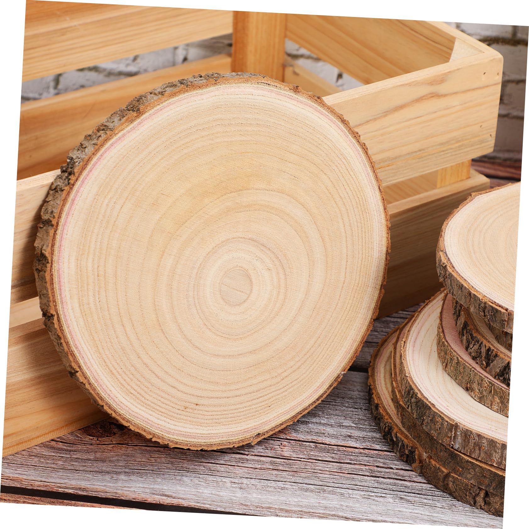 8 Pezzi Fette Legno Naturale con Corteccia Dischi Grezzi in Legno Paulownia Spessore per Decorazioni Matrimoni e Progetti Pittura e Pirografia