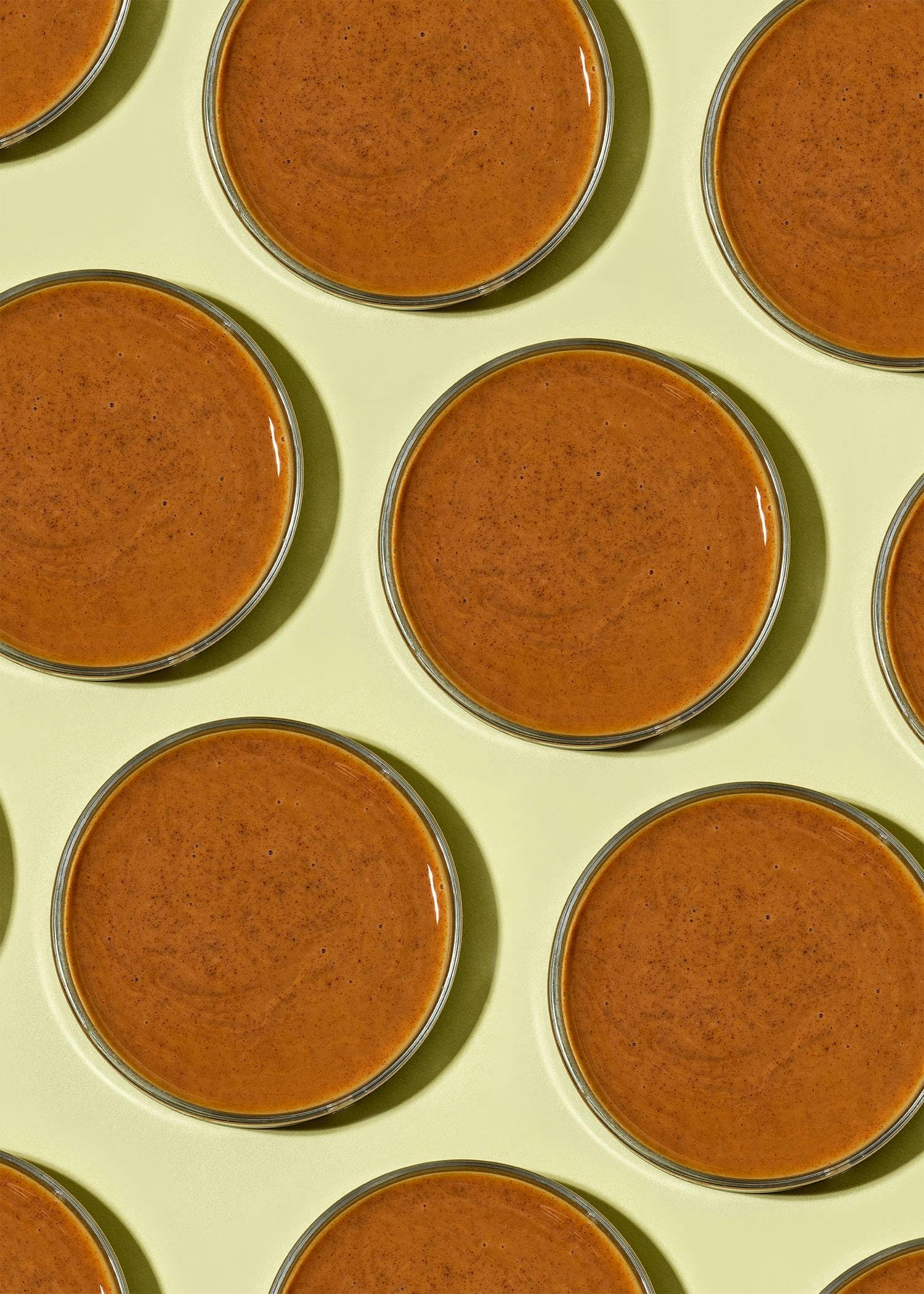 KoRo - Crema di nocciole 2 x 500 g - 100% nocciole - senza zuccheri - vegan - per dolci e gelati - senza olio di palma
