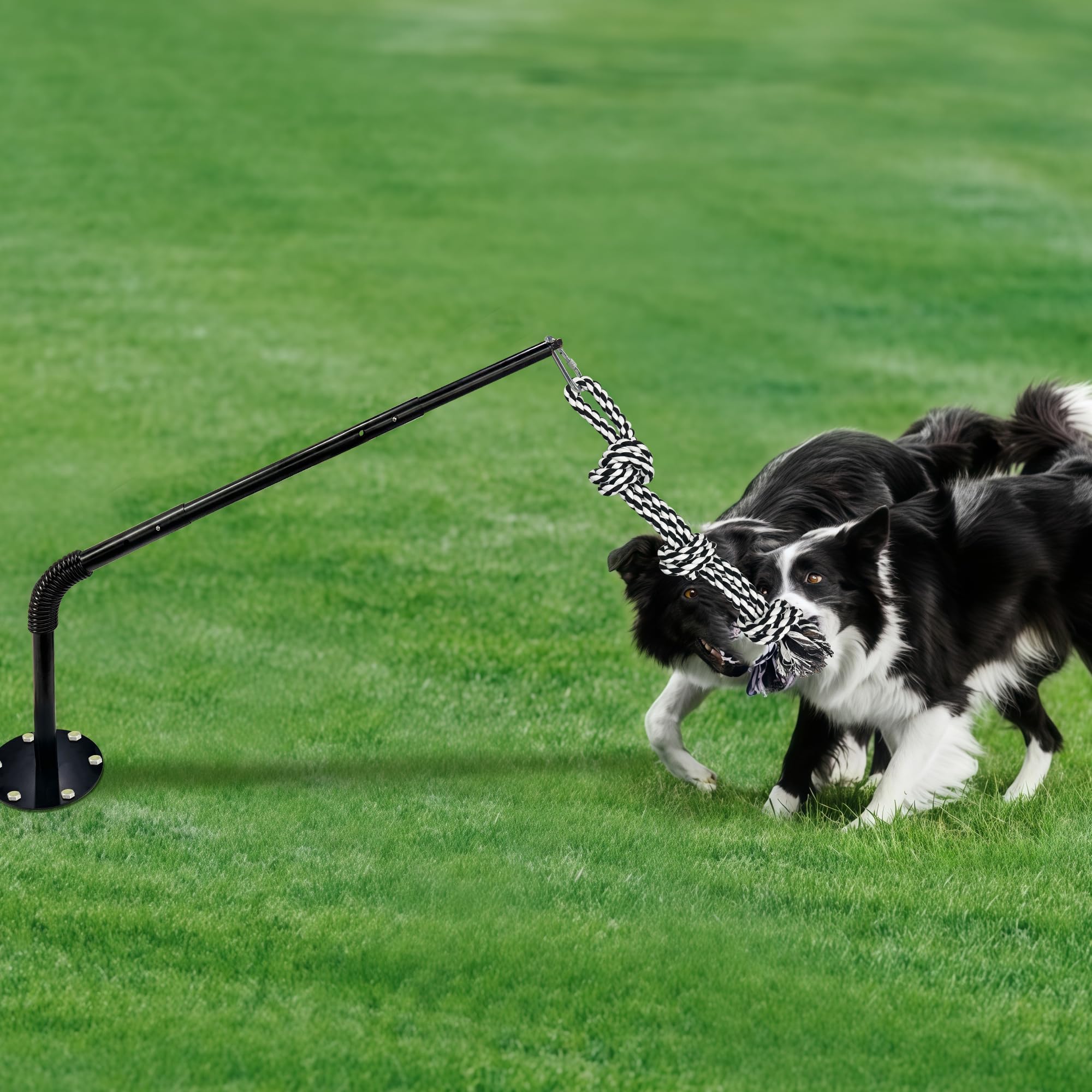 Tether Tug - Juguete para perros al aire libre, juguete de ejercicio para perros con cuerda y campana para perros grandes y medianos, altura ajustable