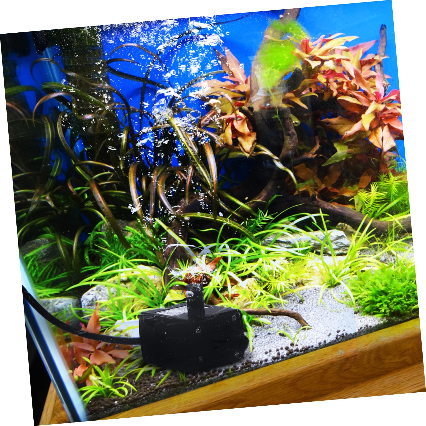 Yardwe 5pezzi Mini Pompa Submersibile Usb Per Per e Acquari Pompa e Silenziosa Per Facile Installare e Multi-