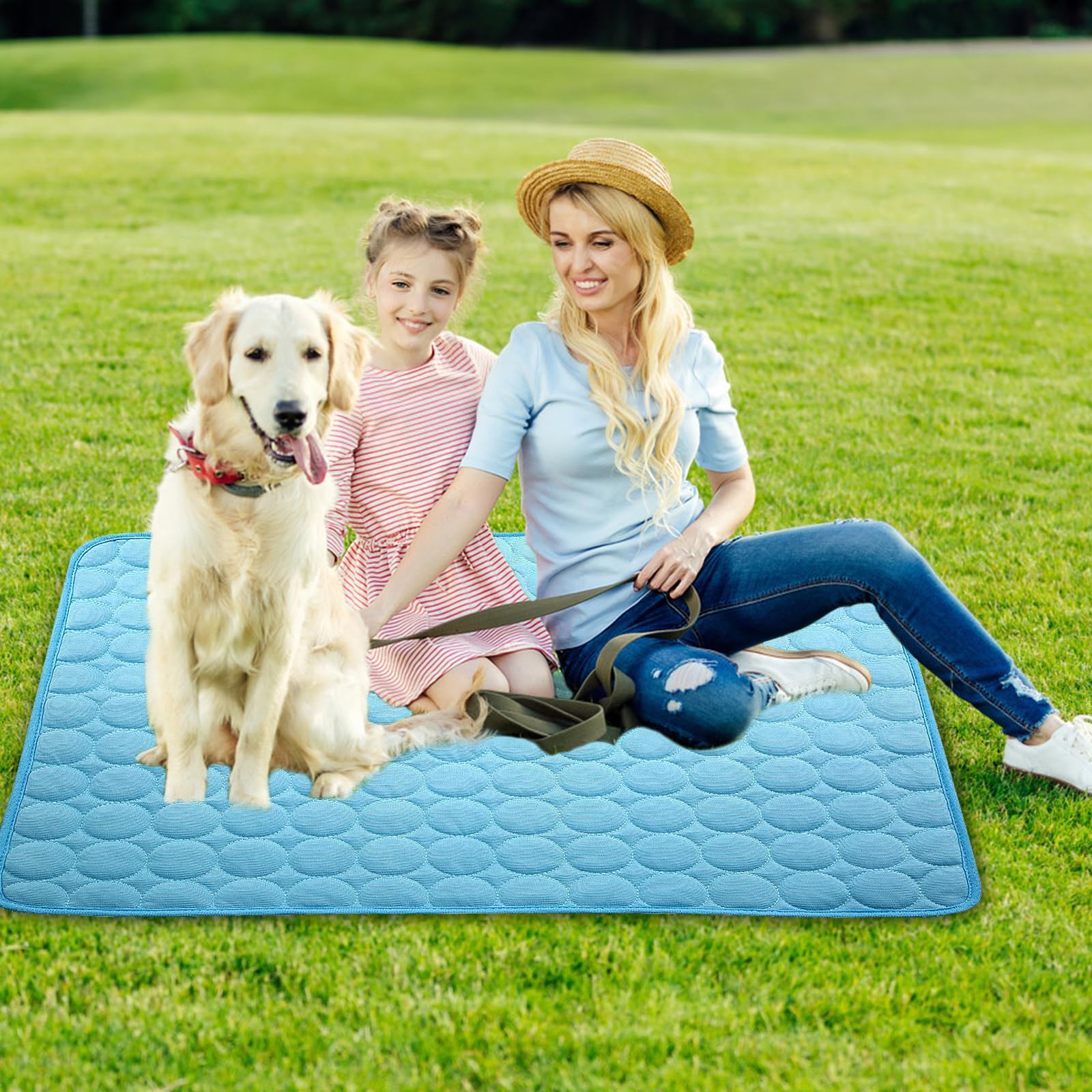 Tapis de Refroidissement pour Chien,Pet Cooling Ice Mat,Cats Dogs Cooling Bed,Tapis de Refroidissement Chien,Tapis Rafraîchissant pour Chiens et Chats Summer Pet Cooling Mat Indoor Outdoor (Bleu L)