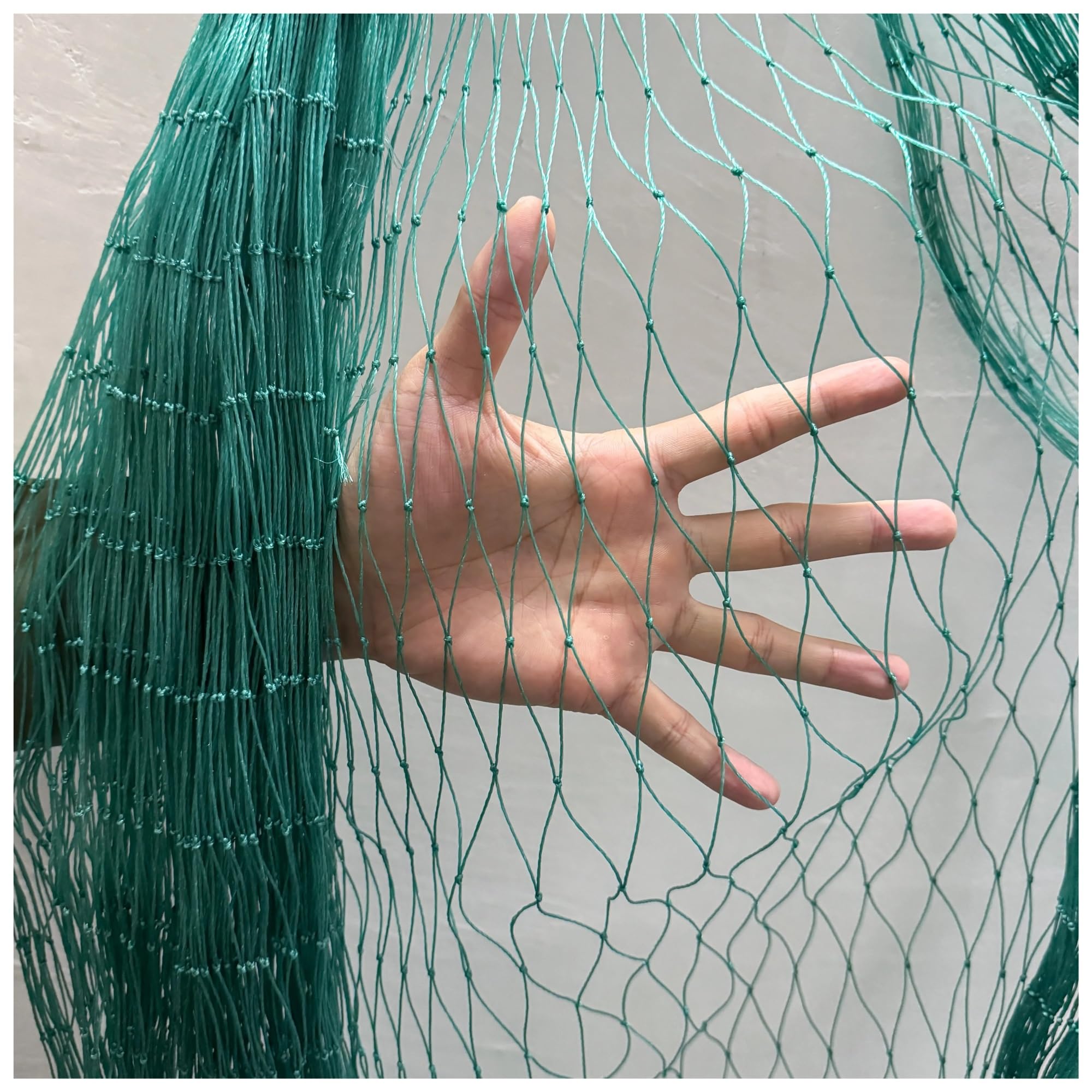 anti bird netting Bird Net, Orchard, Garden Nets, Chicken Cage, Poultry, Breeding, Nylon Green,for Fish Pond, Prevent Animals for Pond Fruit Protection(4M x 10M)